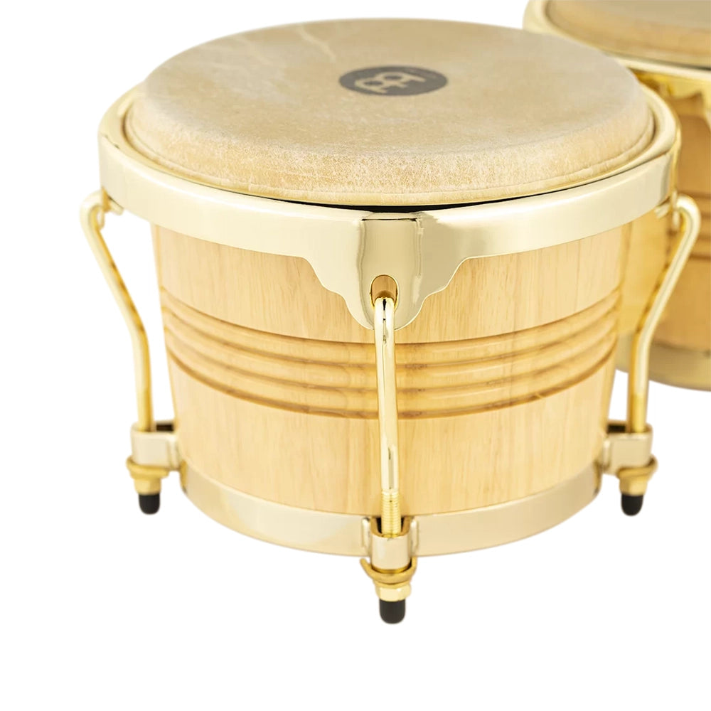 Marathon Exclusive Series Bongo, 6 3/4" & 8" Gold Plated Rims