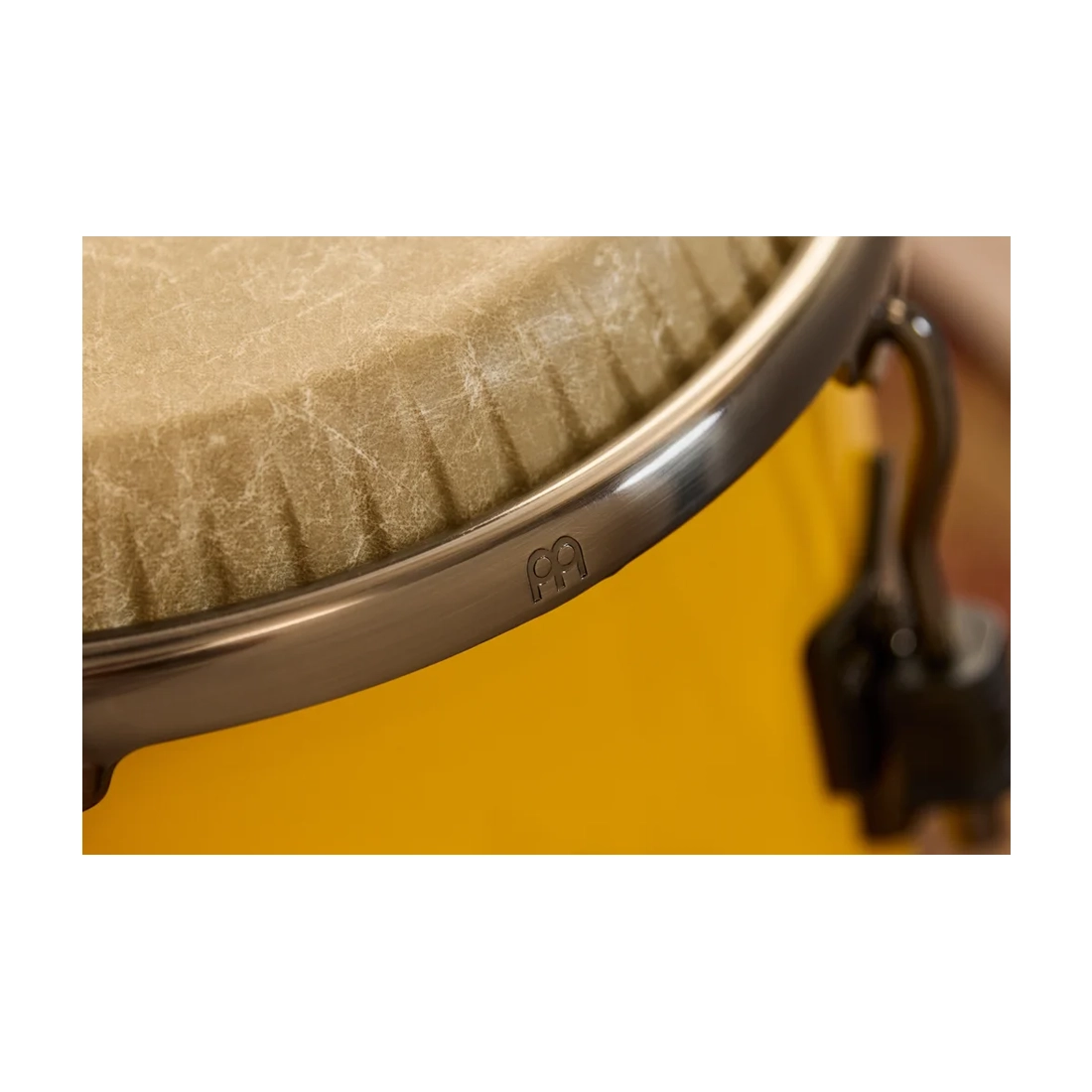 Close up view of Meinl AA11SY Artist Series Conga Alexandra Alban
