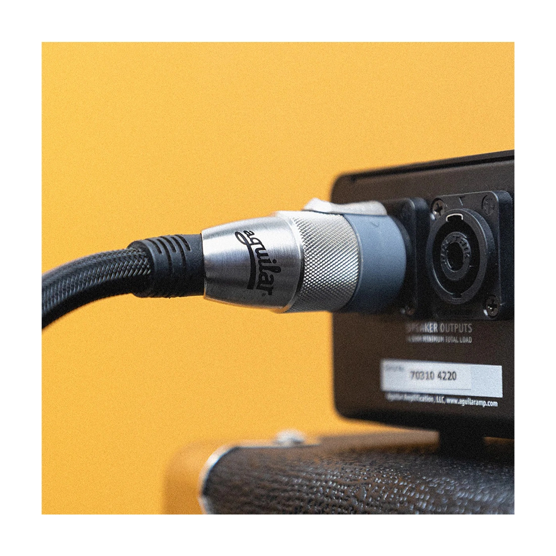 Aguilar Speaker Cable With Speakon Connectors 3'