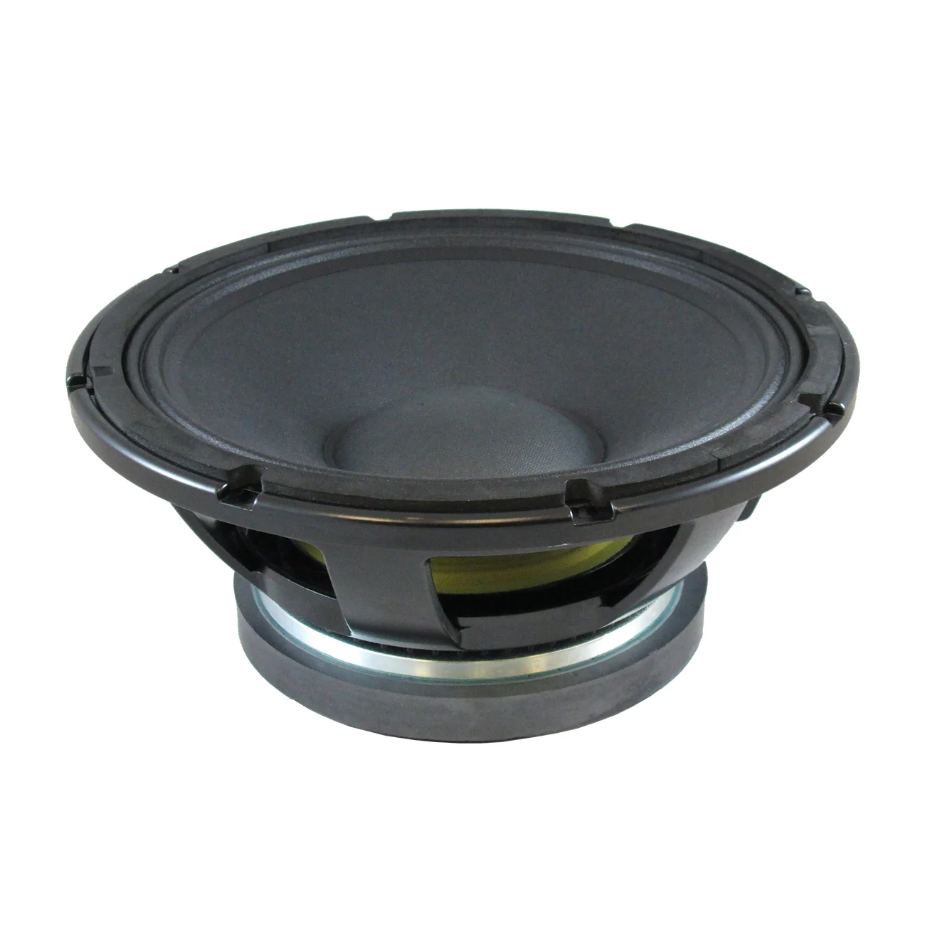 Blastking BLAST12PRO 12" 1200 Watts Professional Transducer