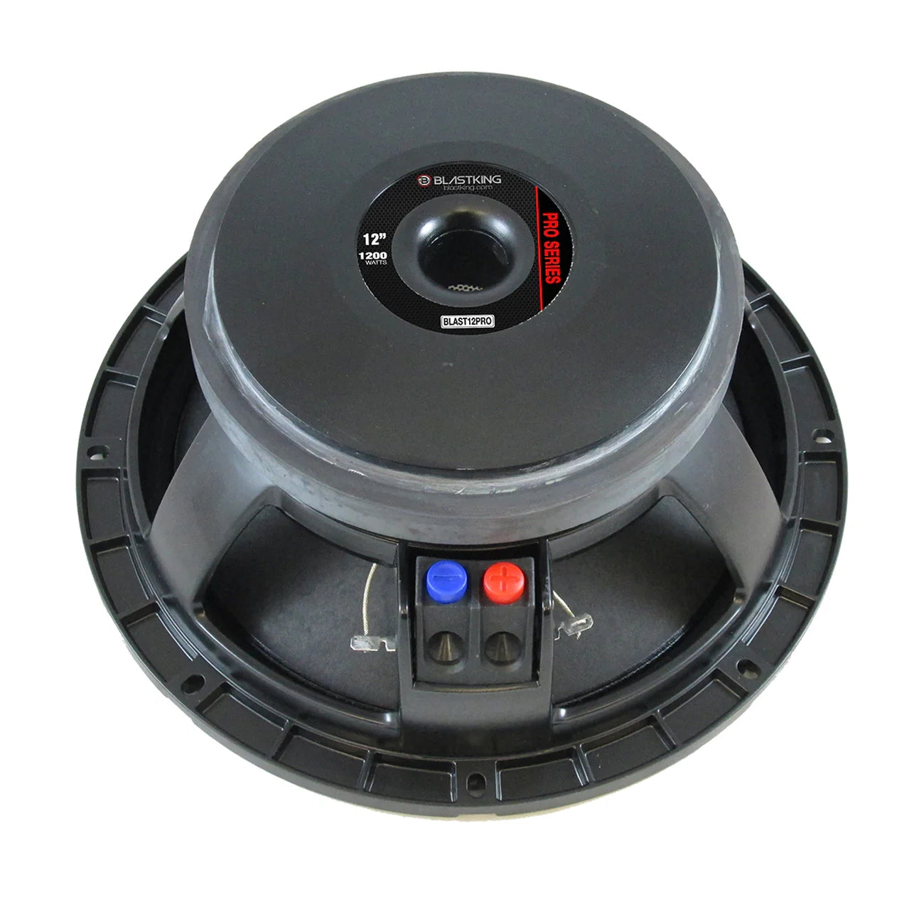 Blastking BLAST12PRO 12" 1200 Watts Professional Transducer