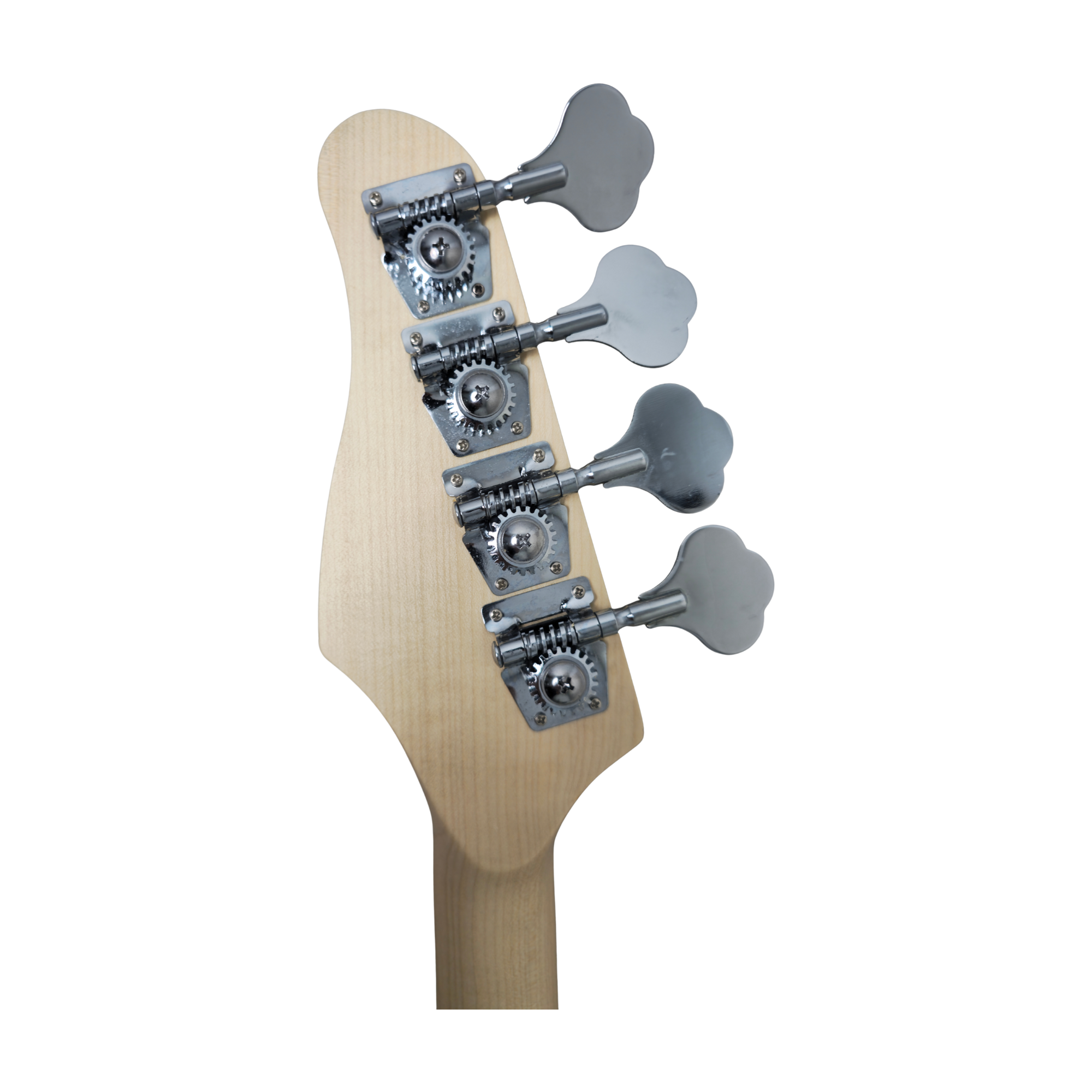 PBS Electric Bass Package PB-100 Combo
