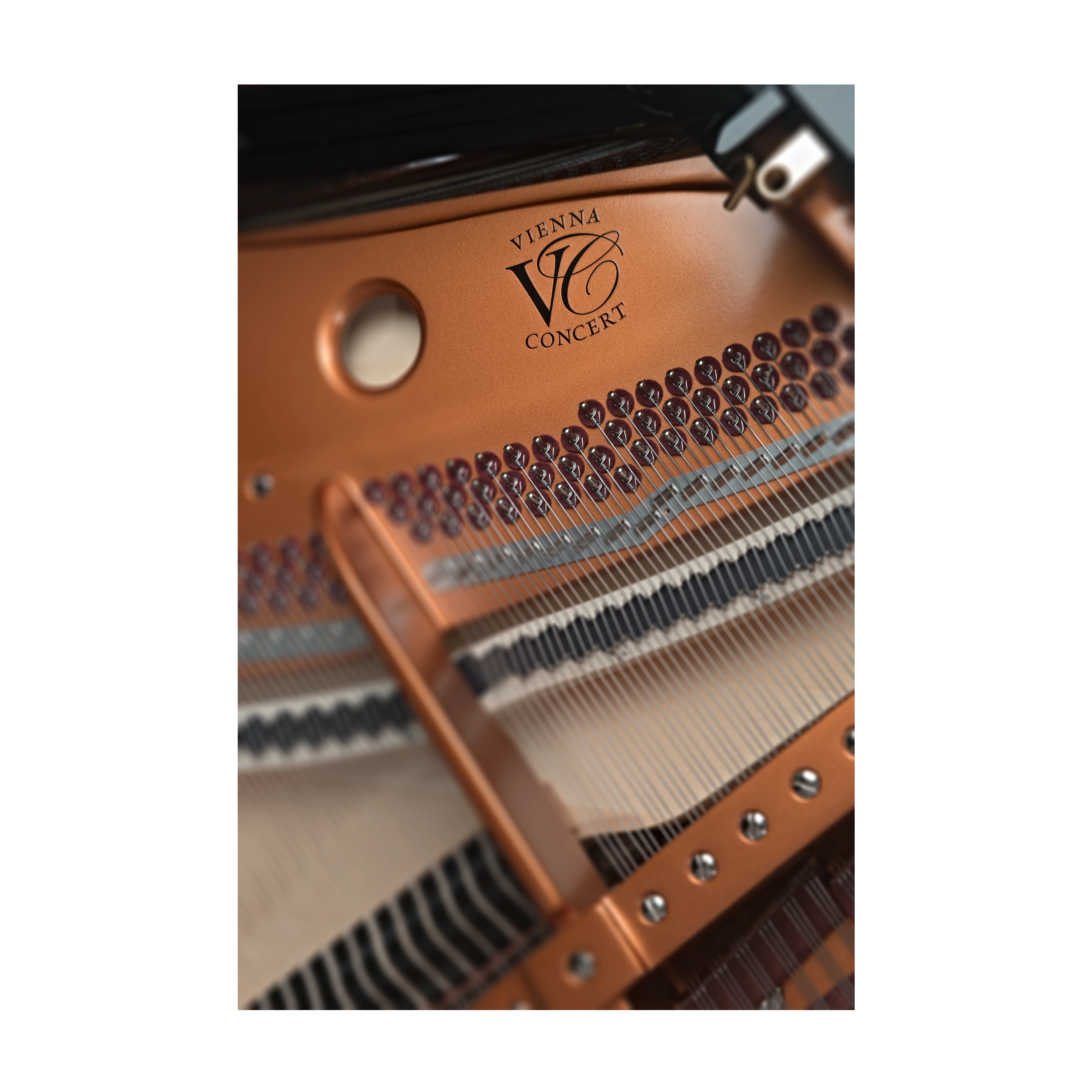 Bosendorfer Grand Piano 170 - Polished Ebony Finish