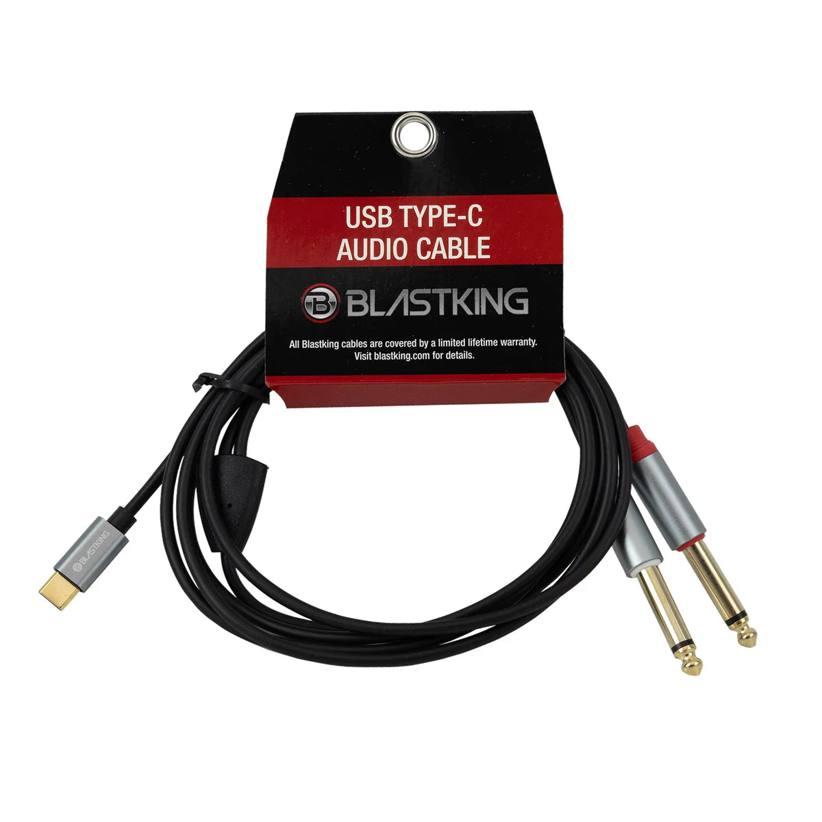 USB-C To 1/4 left & right