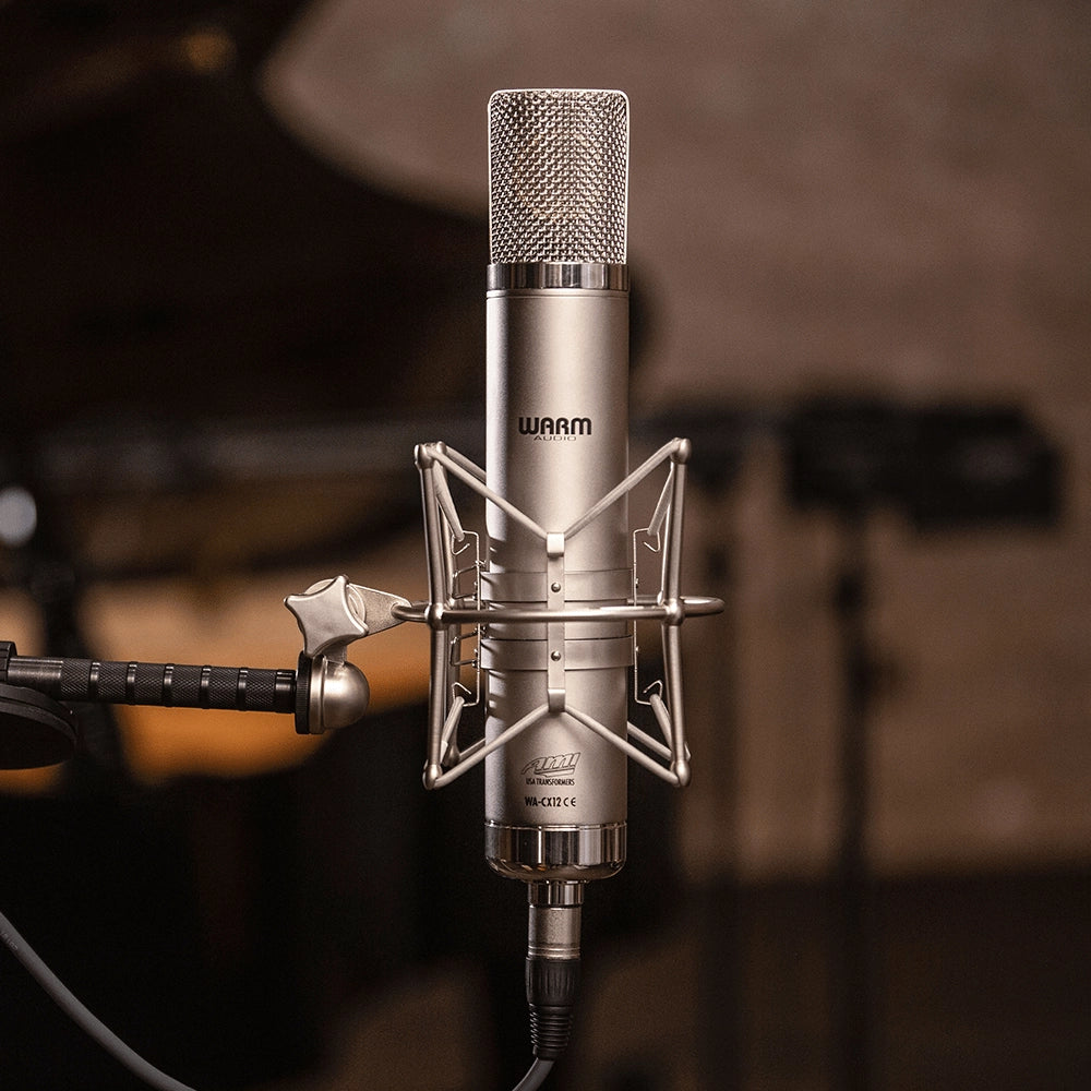 View of Warm Audio microphone