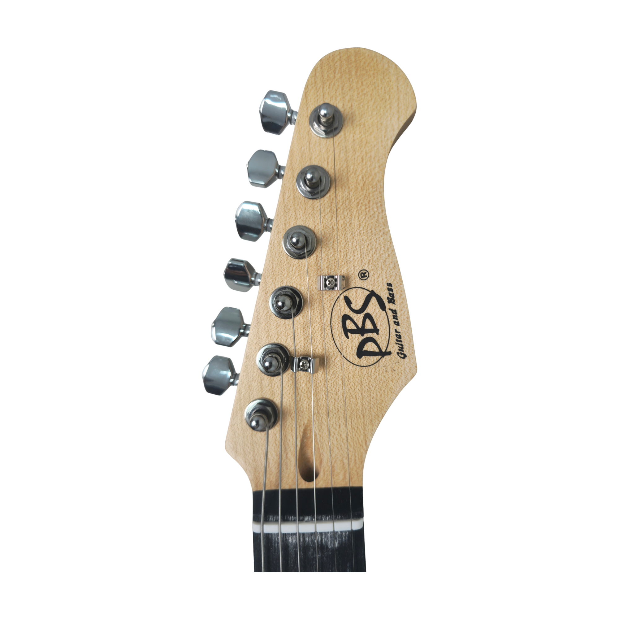 PBS Electric Guitar Combo Pack ST-100