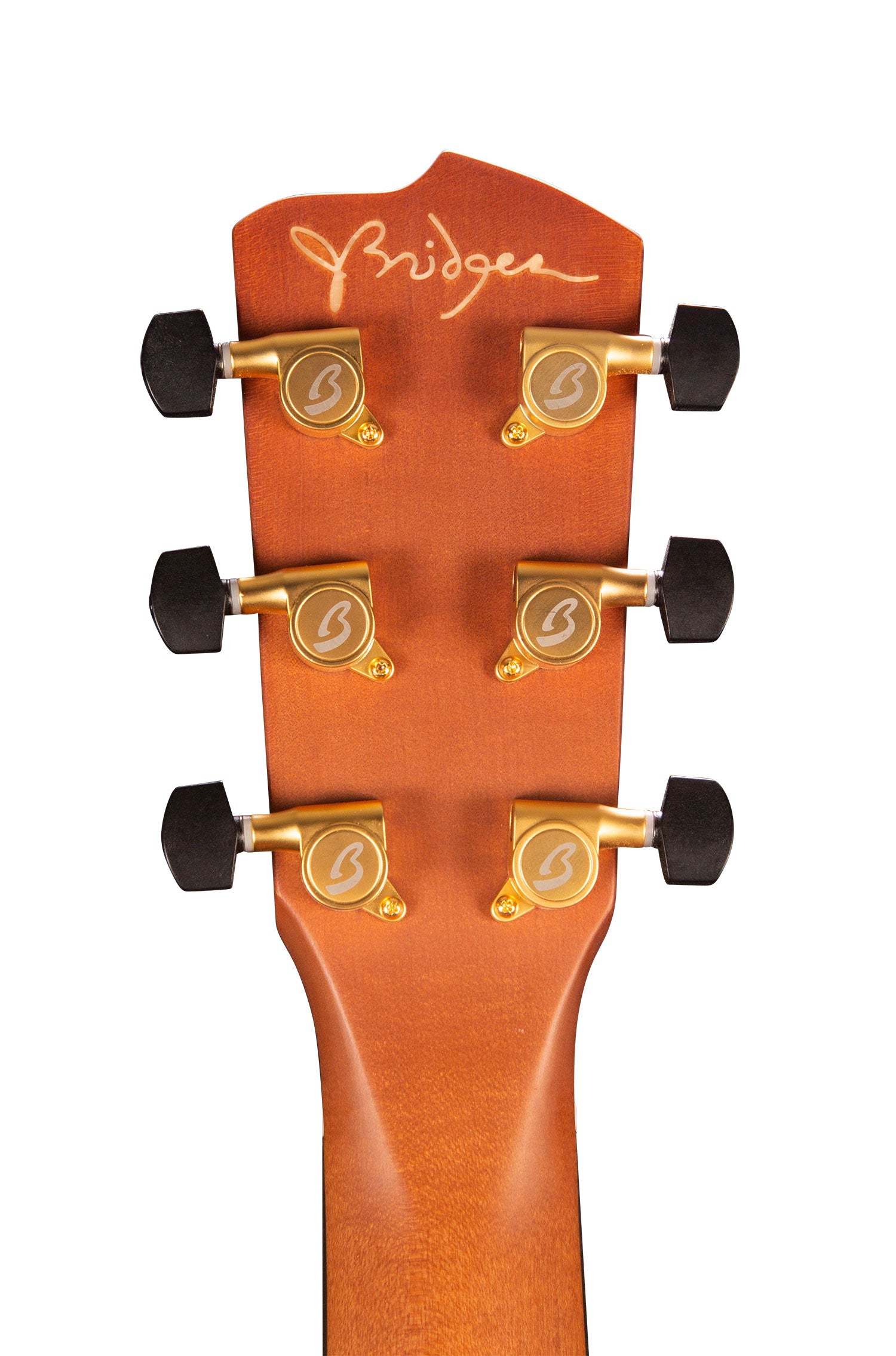 Guitarra acústica-eléctrica Breedlove Jeff Bridges Oregon Concerto CE - Bourbon