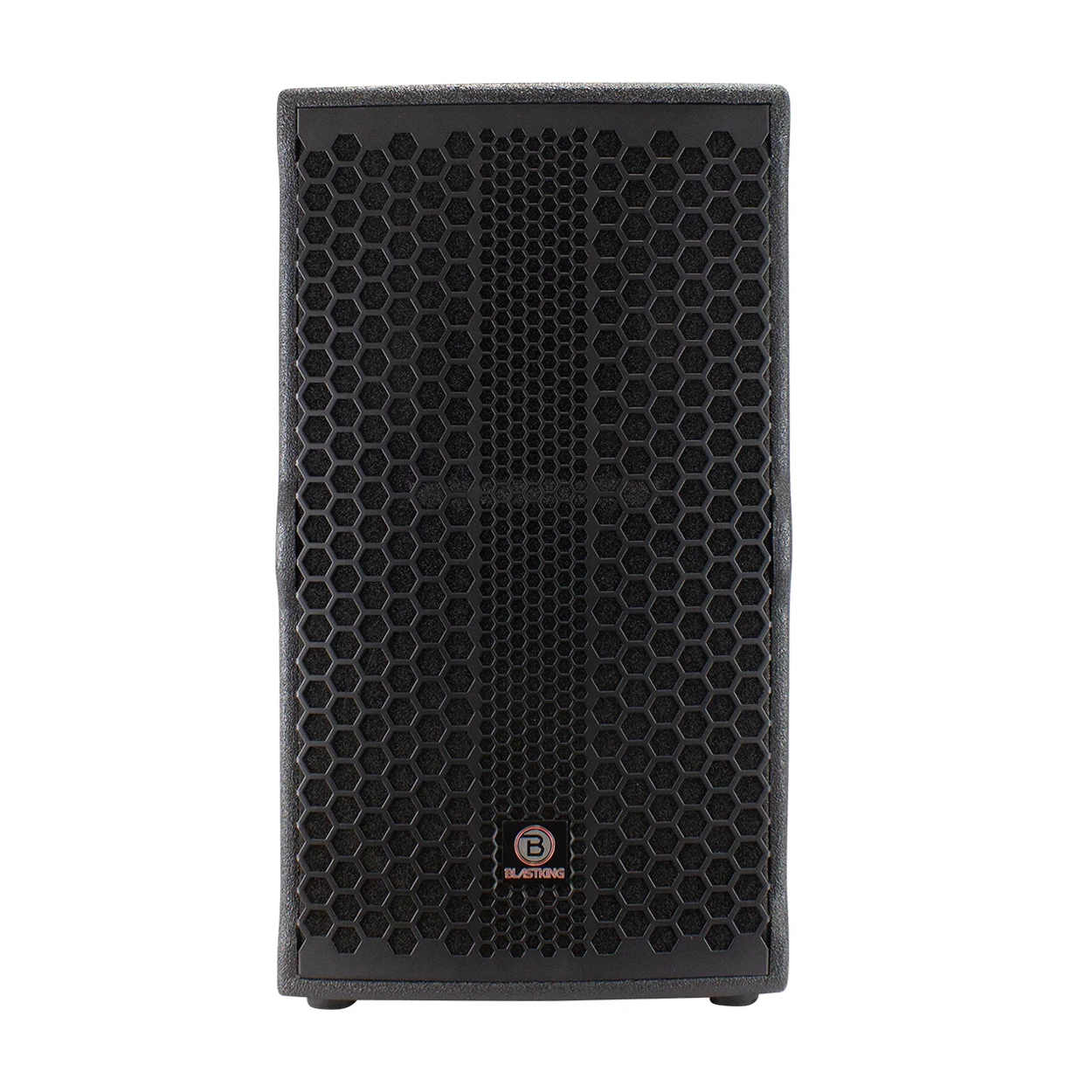 Blastking NOVO-12 12” 2-Way Passive Loudspeaker 1200 Watts