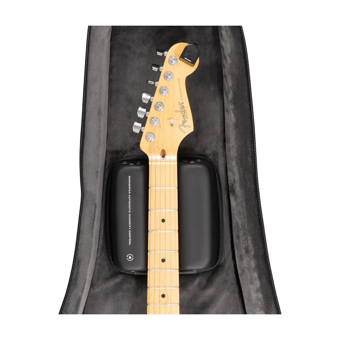 D'Addario Backline Electric Guitar Case with Humidipak on Fender Stratocaster