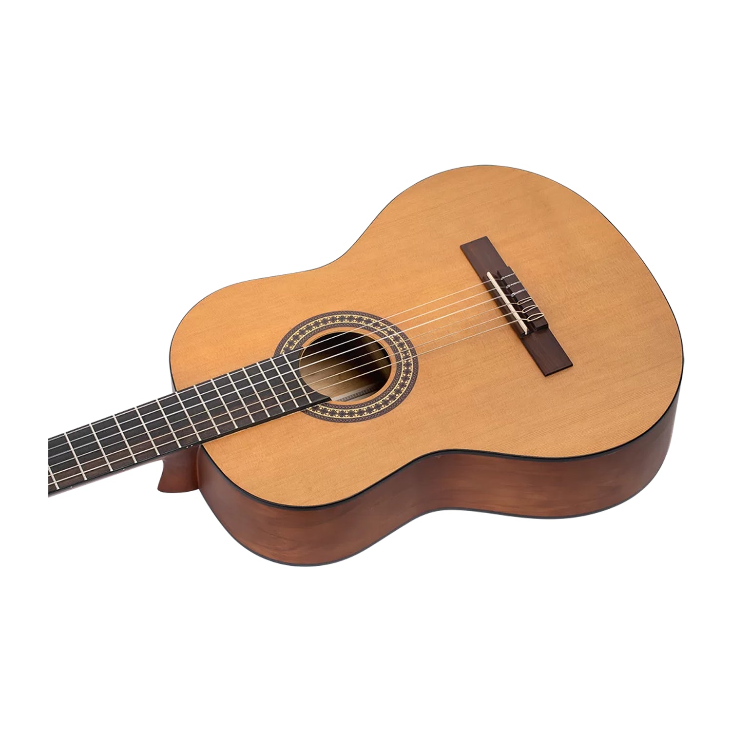 Student Series Full Size Guitar Cedar/ Catalpa Natural - RSTC5M