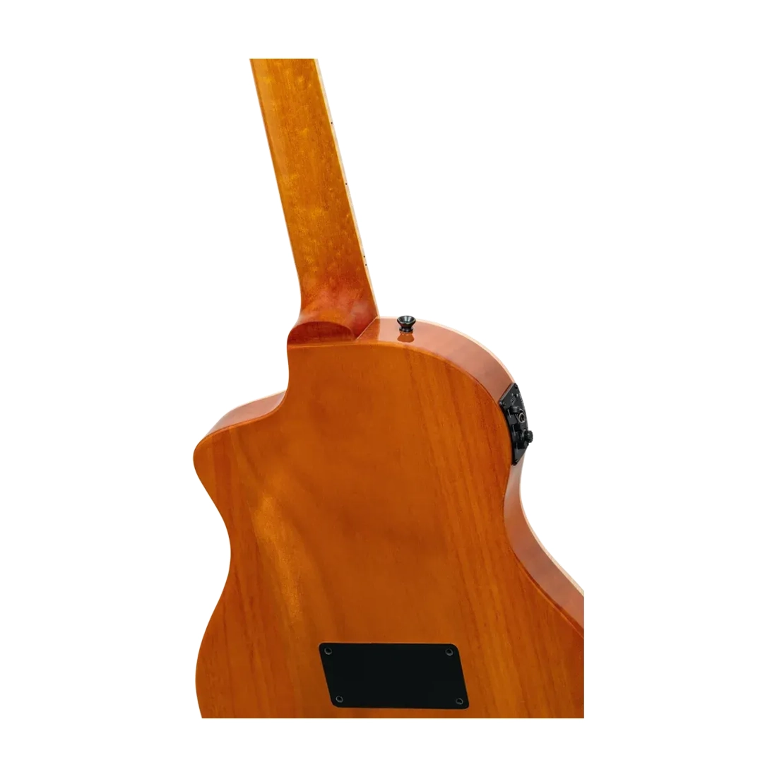 Ortega Tourplayer Series Full Size Guitar - Ziricote Gloss Body back angle view