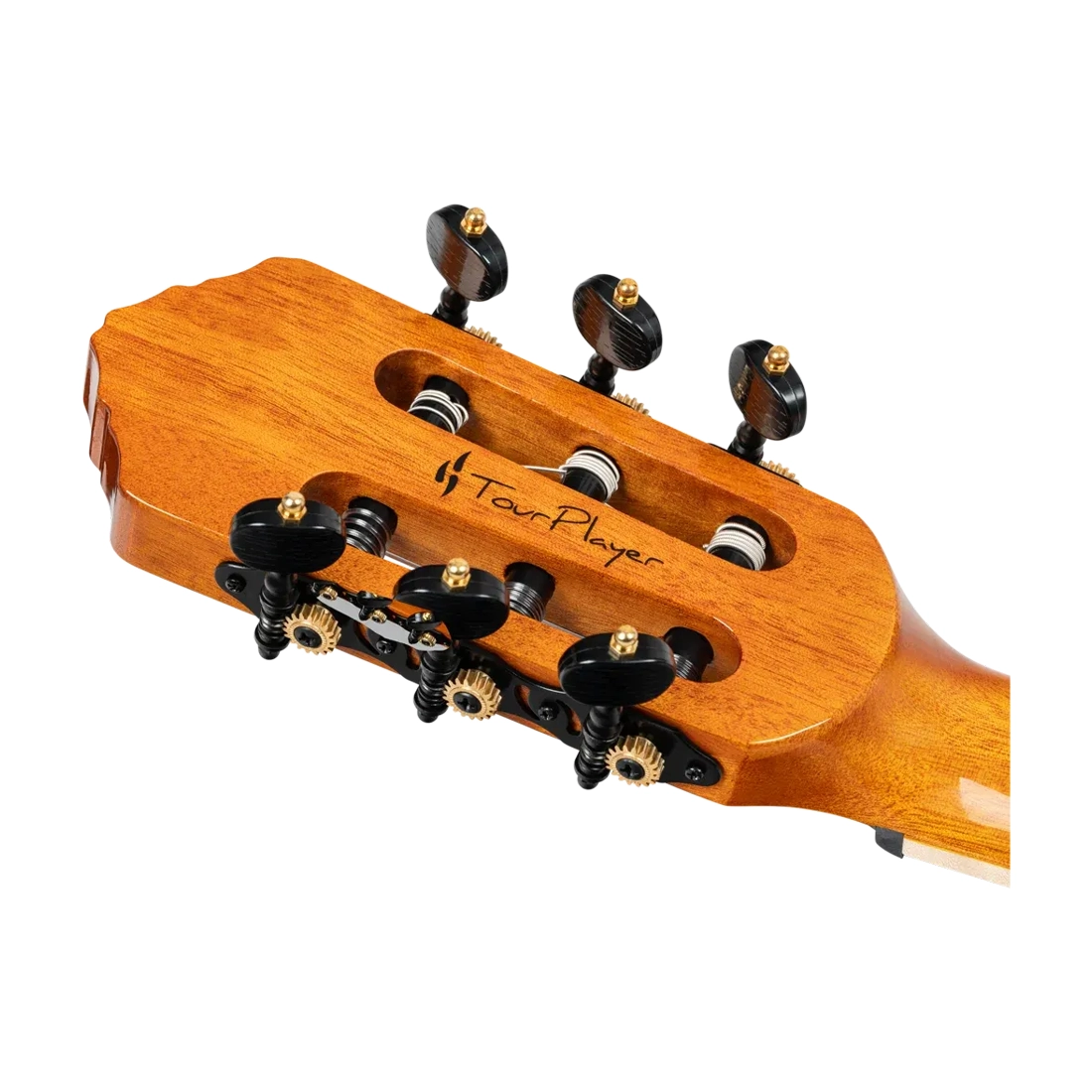 Ortega Tourplayer Series Full Size Guitar - Ziricote Gloss headstock tunning system
