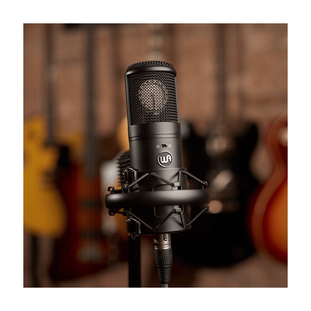 Warm Audio WA-8000 at the studio on shock mount