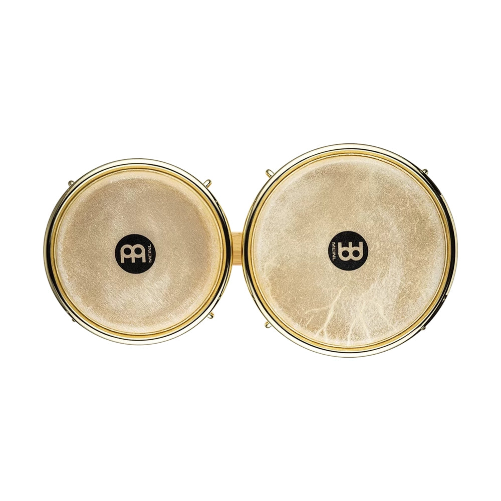Meinl Percussion Marathon Exclusive Series Bongo, 6 3/4" & 8" Gold Plated Rims top view