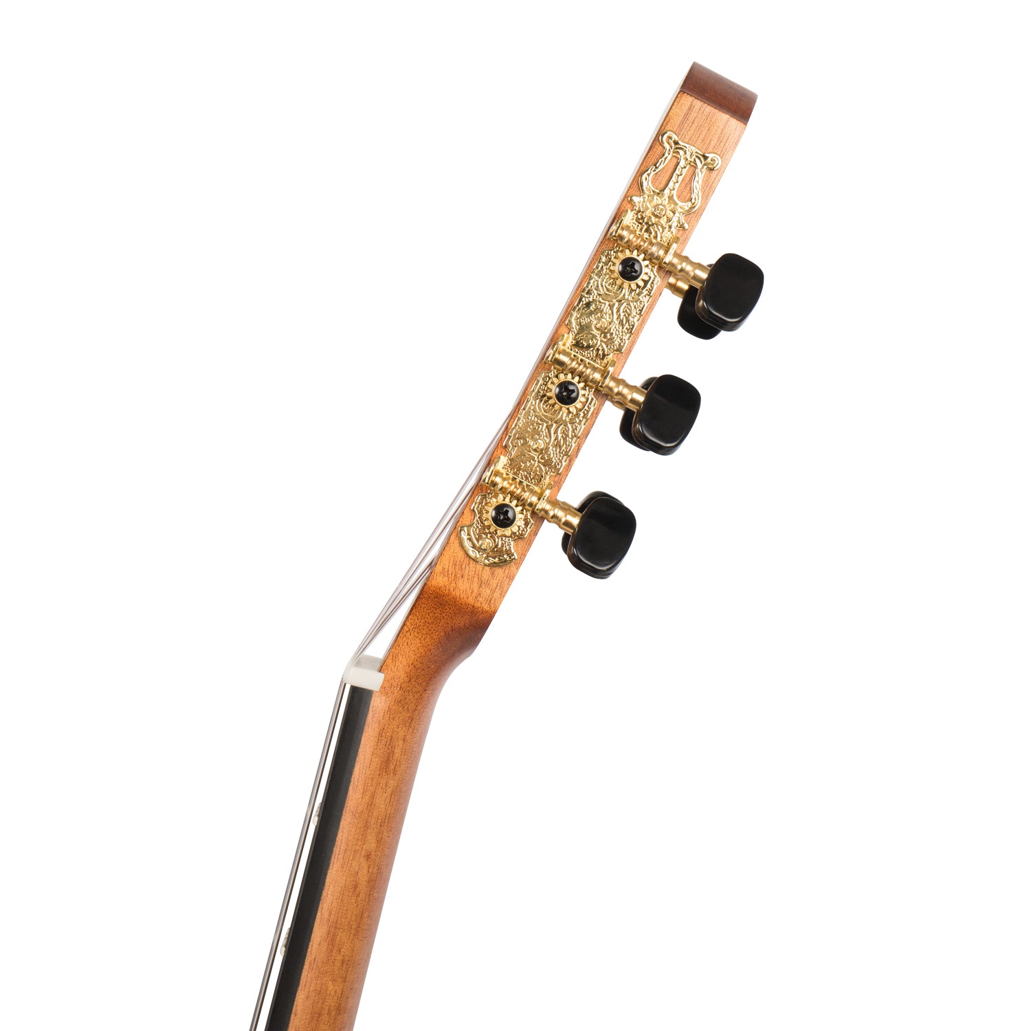 Cascha Stage Series 4/4 Concert Beginners Guitar Pack