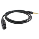 Blastking 10' XLR Female to Balanced 1/4″ Cable – CXLRFQ