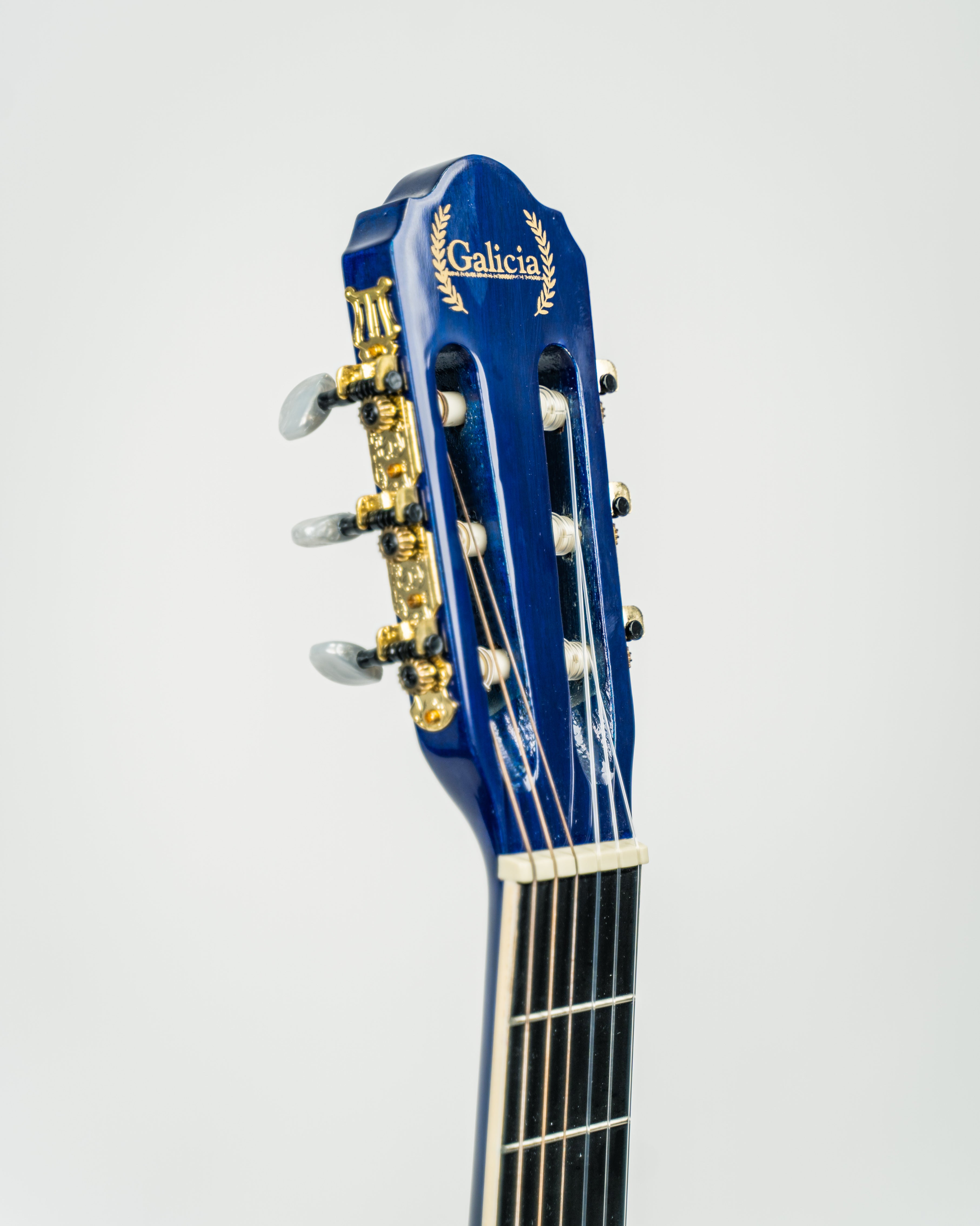 Galicia ESC-120 6 String Nylon 39" Classical Guitar