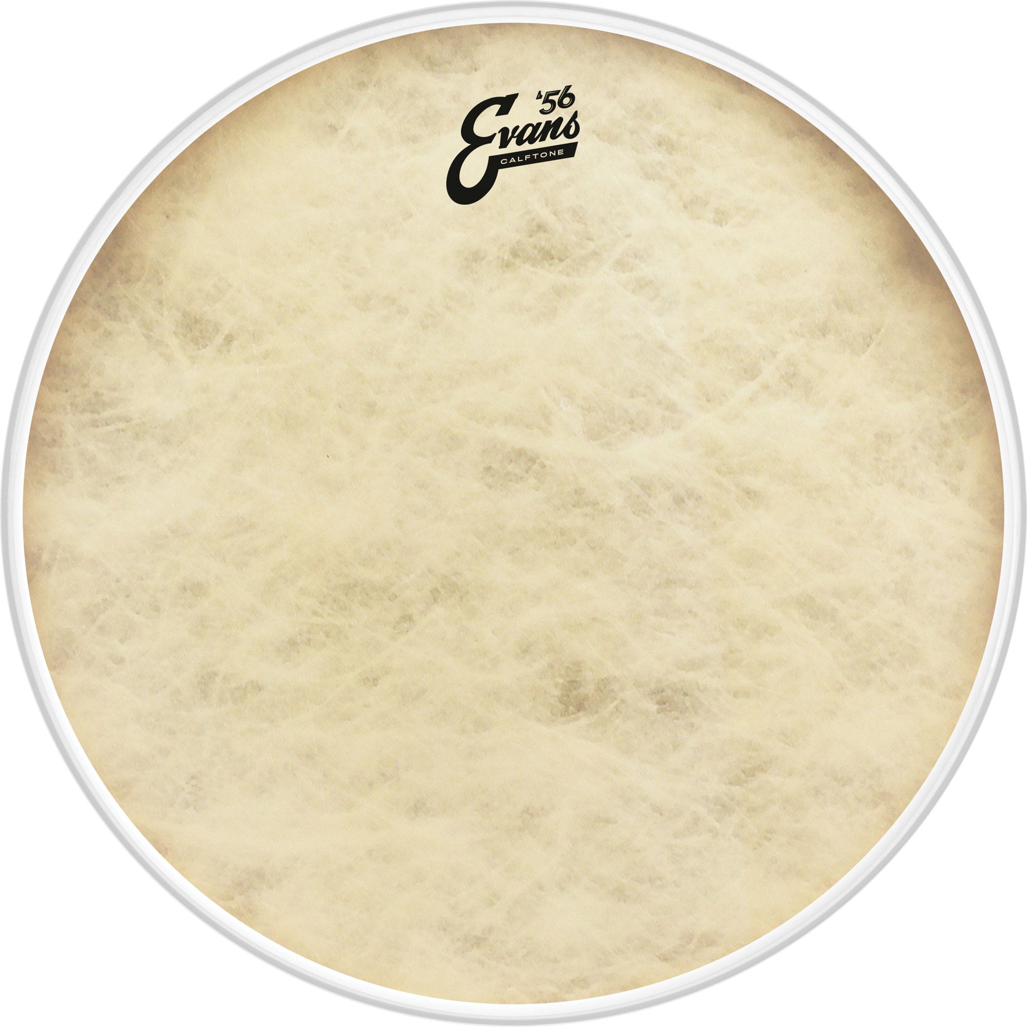 Evans BD16CT 16" '56 Calftone Bass Drumhead