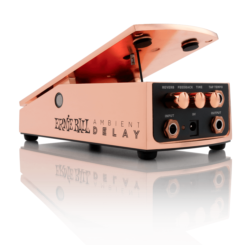 Ernie Ball Expression Series Ambient Delay