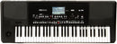 Korg PA-300 Profesional Arranger 61-Key