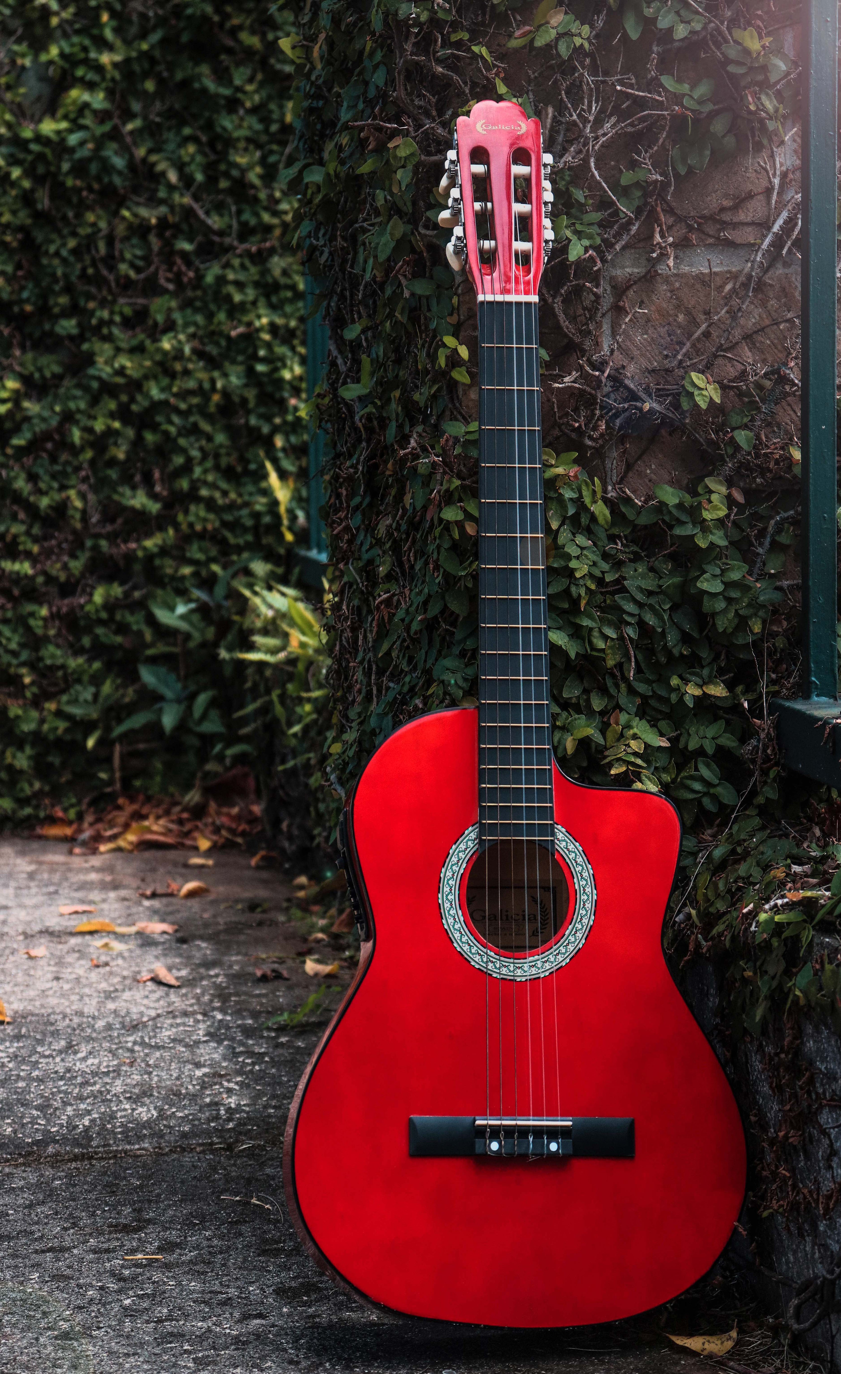 Full Size Nylon Classic Guitar W/Pickup
