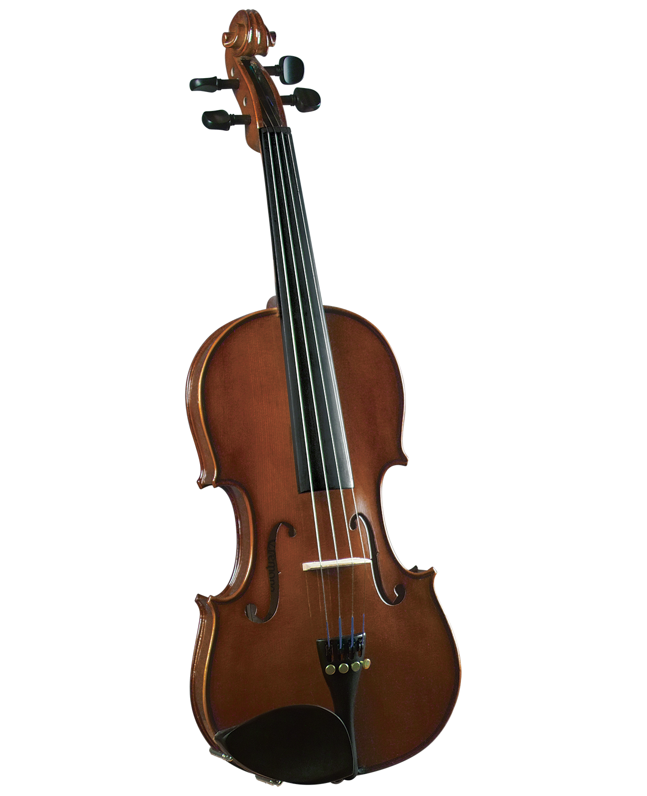 Cremona student deals violin