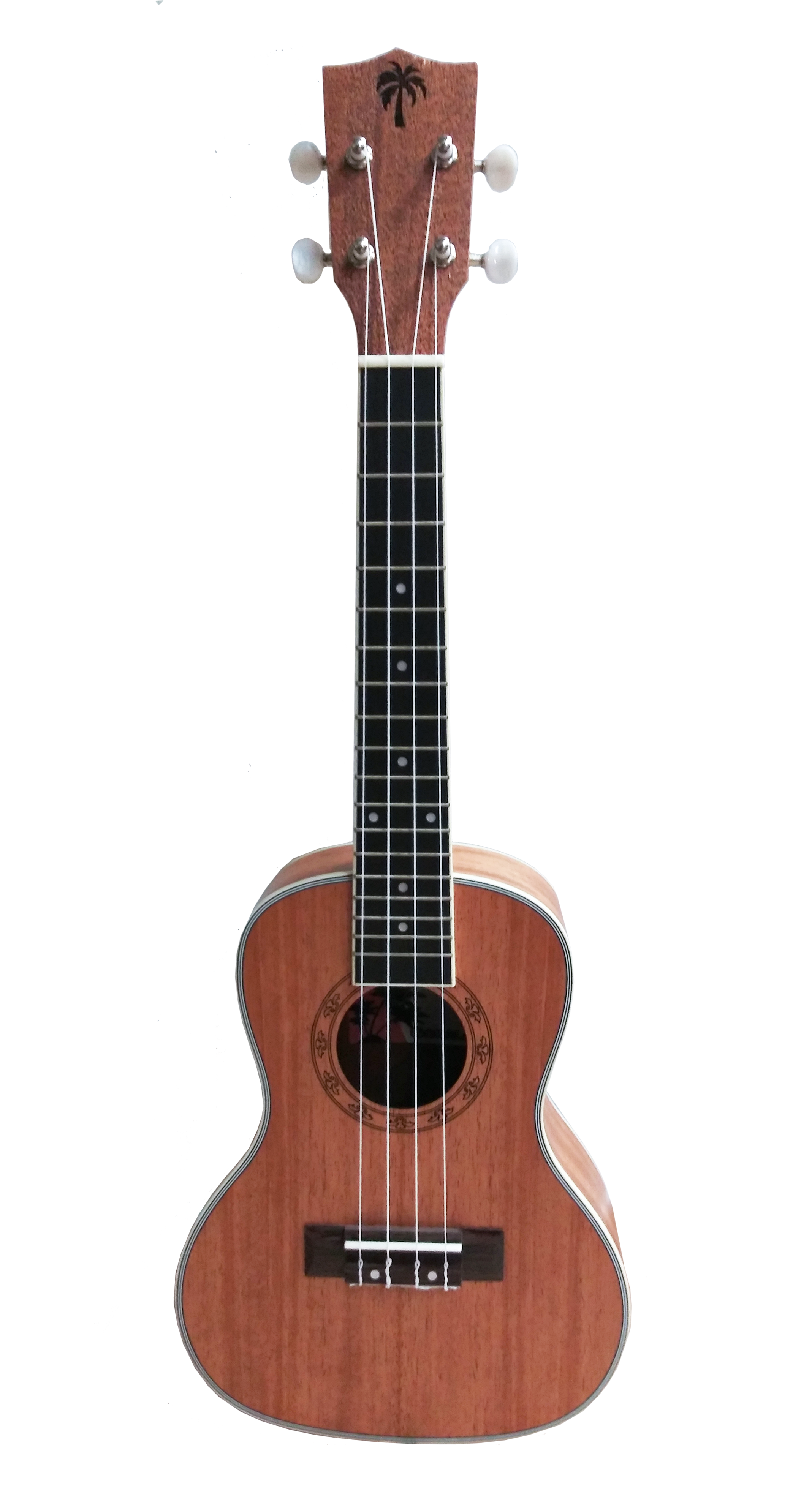 Ookala 24" Concert Ukulele Mahogany