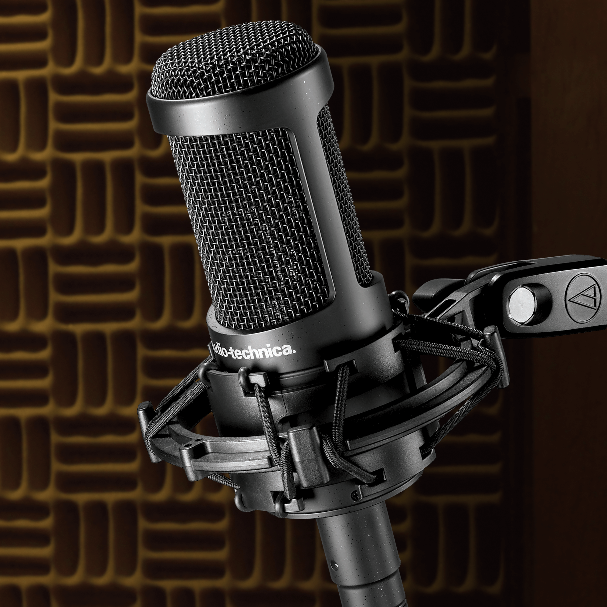 Micrófono de condensador de diafragma grande de patrón múltiple Audio-Technica AT2050