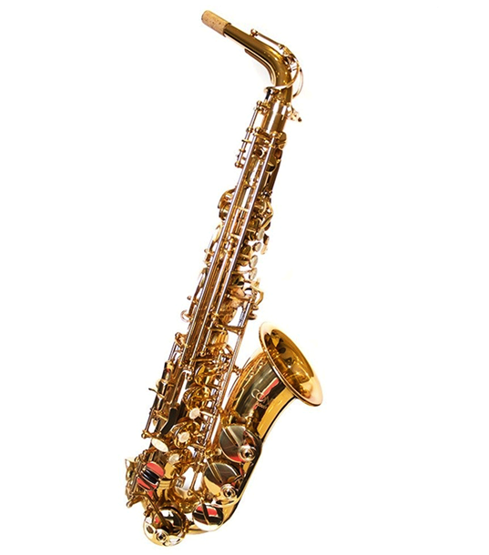 Conn Selmer AS651DIR Alto Saxophone Outfit