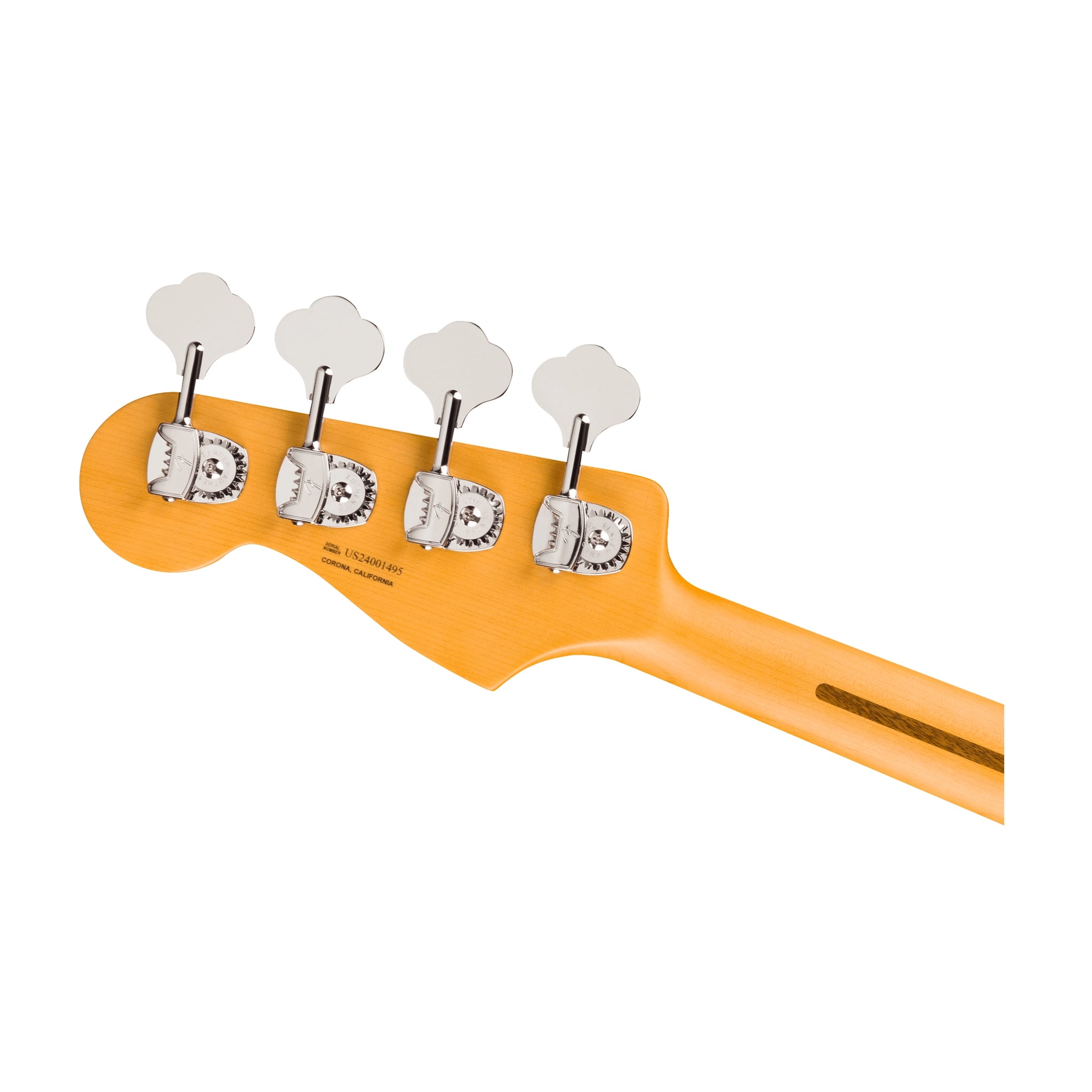 0199111790 Back Headstock close up on White Background.