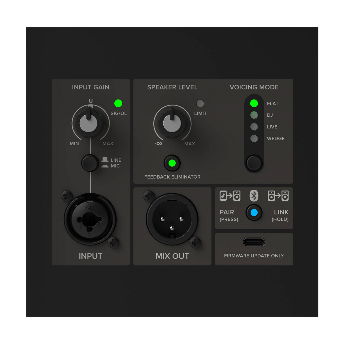 Mackie Thrash 12V2 Wireless Powered PA Speaker - Bluetooth control panel view