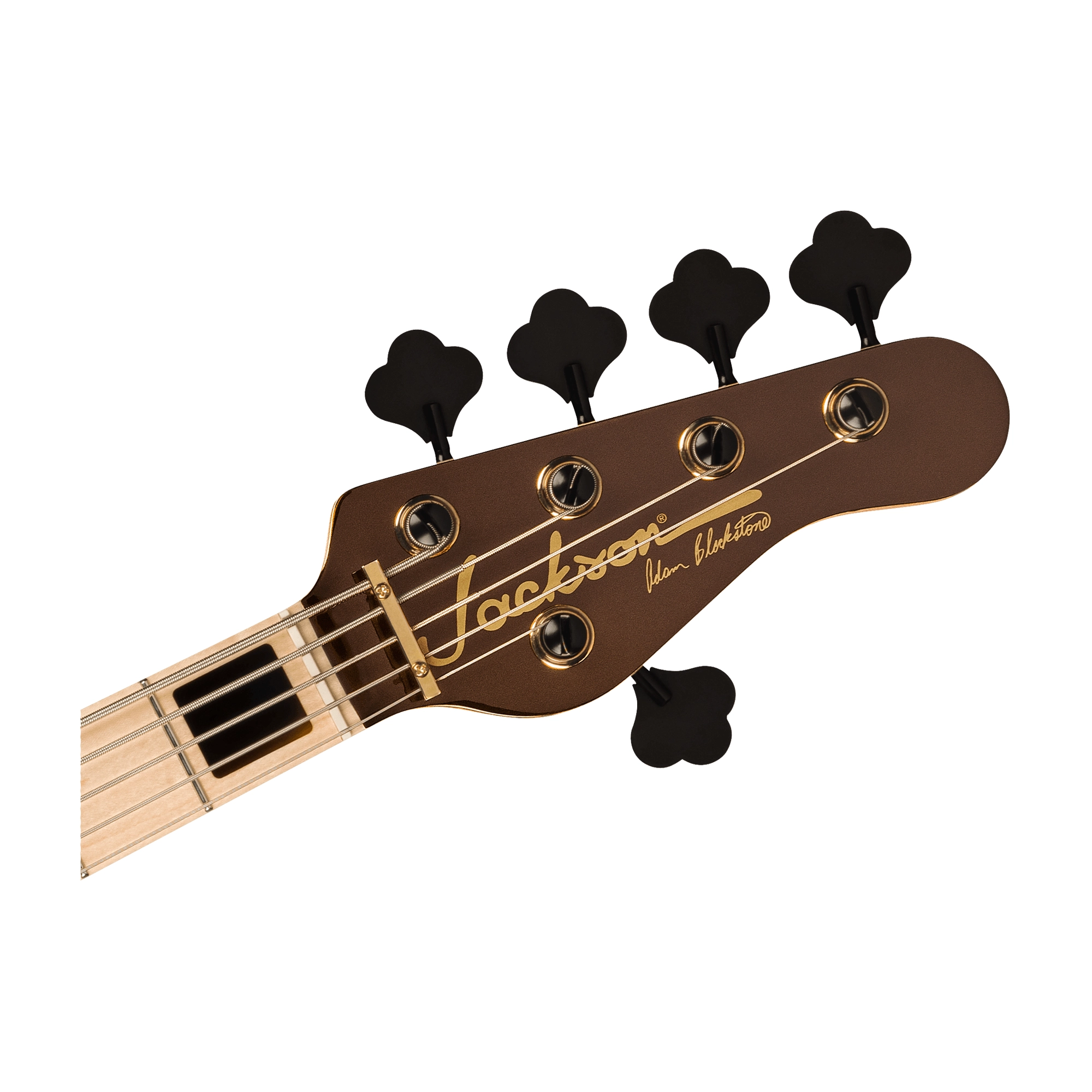 Jackson Adam Blackstone "Gladys" Concert 5-String Bass Guitar - Black Stone