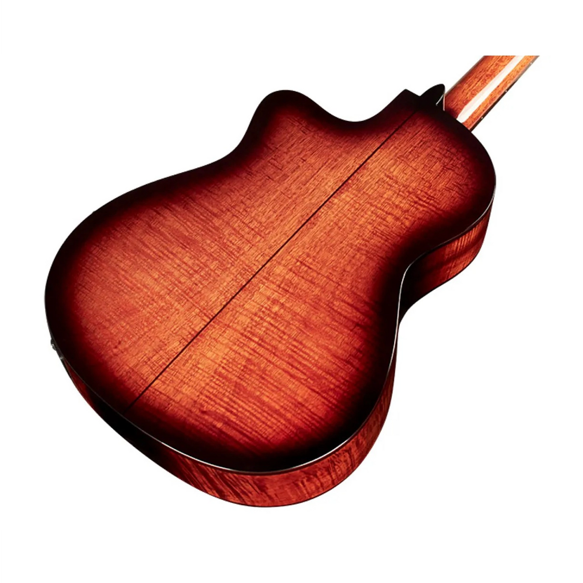 Cordoba Fusion 5 Nylon-String Acoustic-Electric Guitar - Edge Burst back side angle view