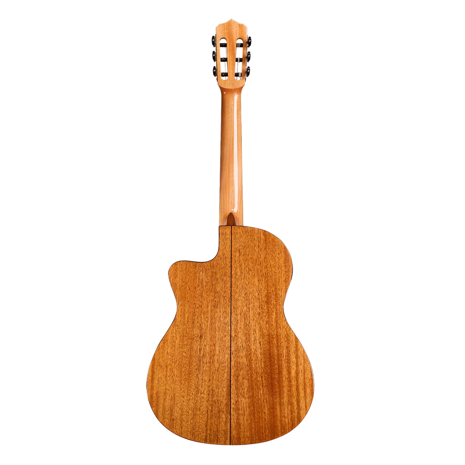 Córdoba Fusion 5 Nylon String Acoustic-Electric Guitar - Natural