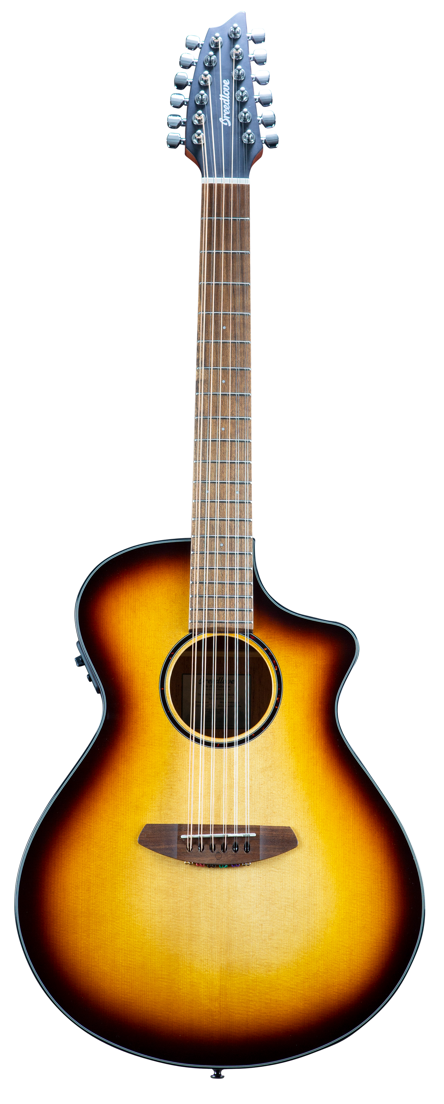 Breedlove Eco Discovery S Concert CE 12-String Acoustic-Electric - Edgeburst