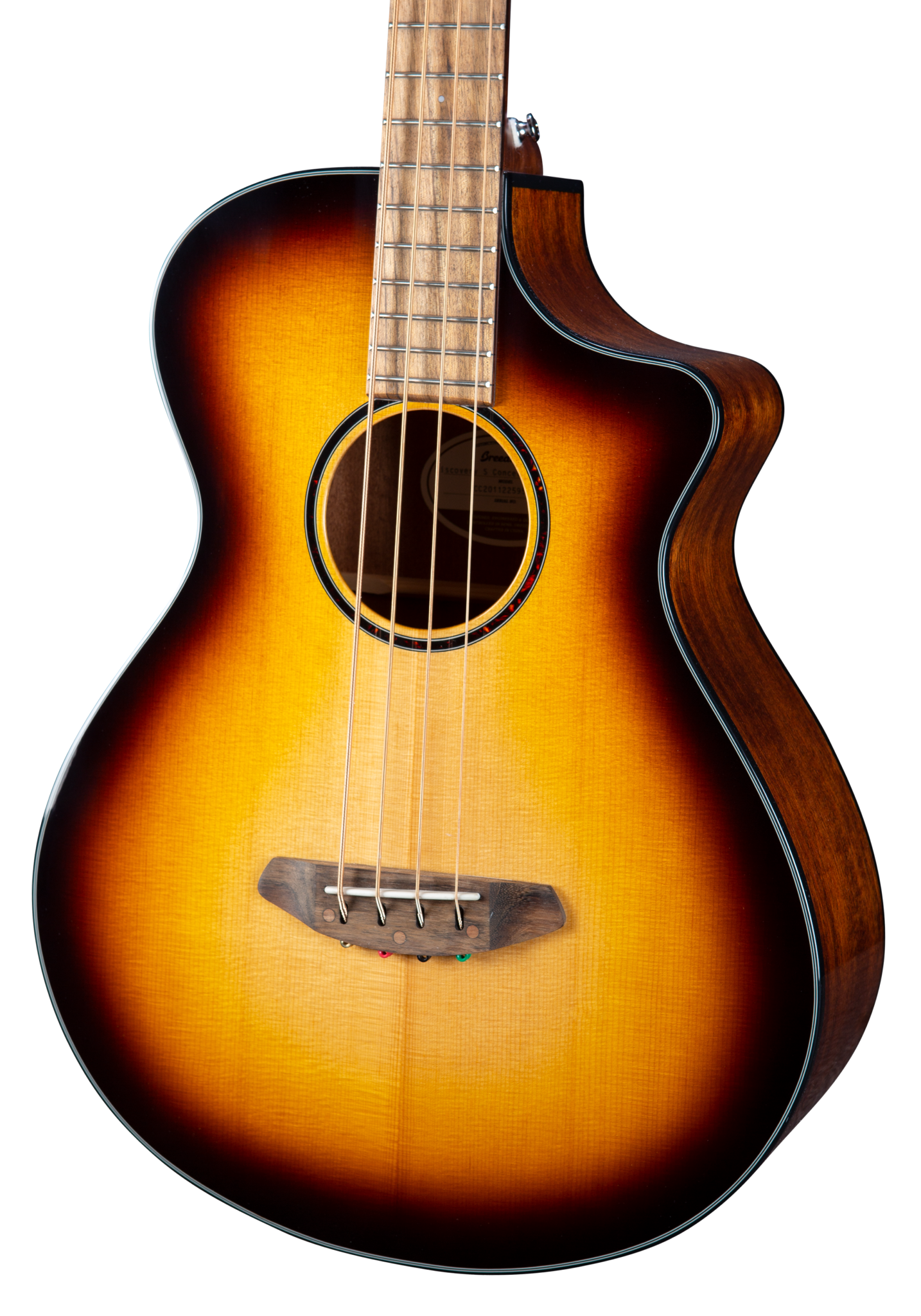 Breedlove Eco Discovery S Concert CE Acoustic-Electric Bass Guitar - Edgeburst