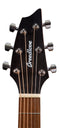 Breedlove Eco Discovery S Concert CE Acoustic-Electric Guitar - Edgeburst