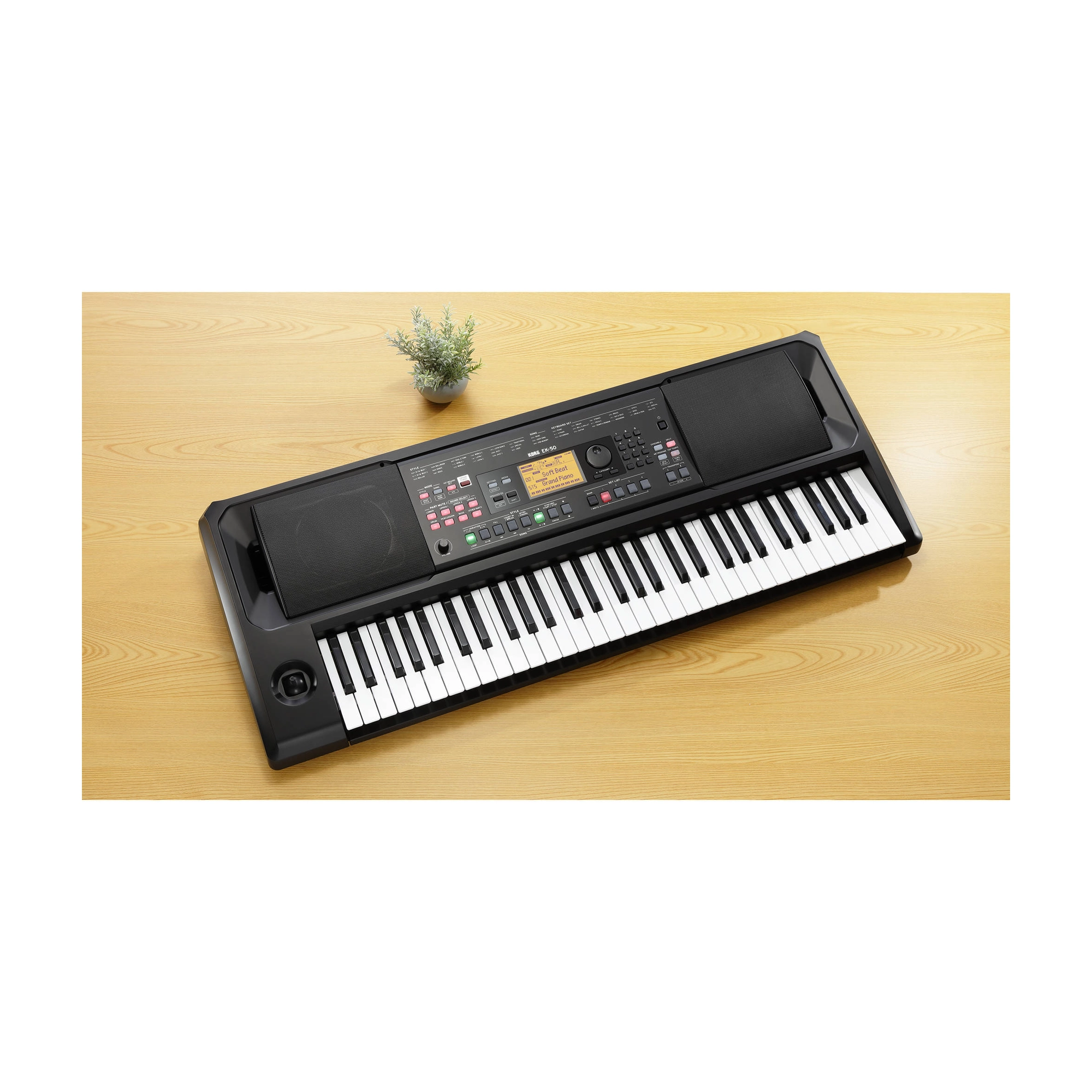 Korg EK-50 61-Key Arranger Keyboard with Built-In Speakers on table top