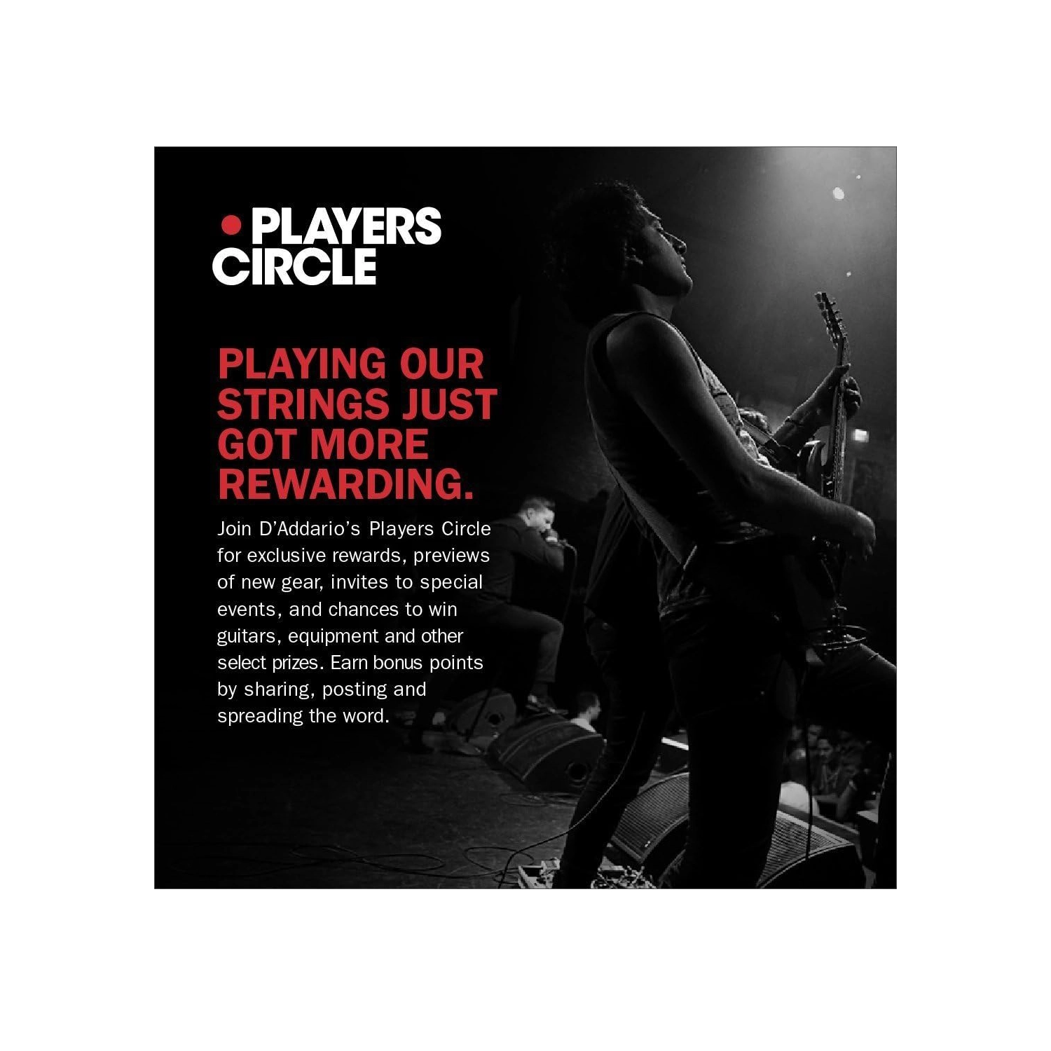 D'Addario Custom Light Gauge (.011-.052) Coated Phosphor Bronze Acoustic Guitar Strings