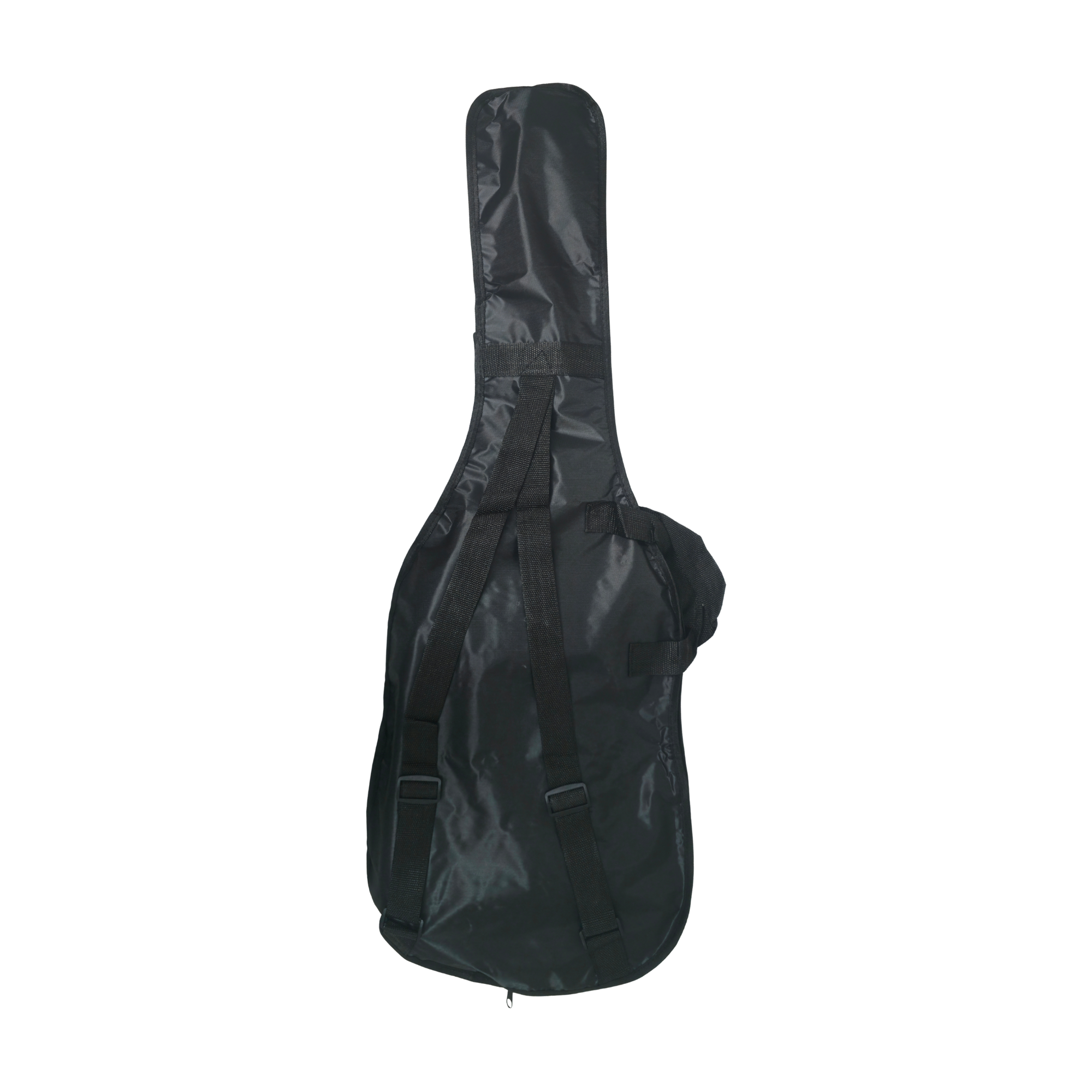 PBS Electric Guitar Combo Pack ST-100