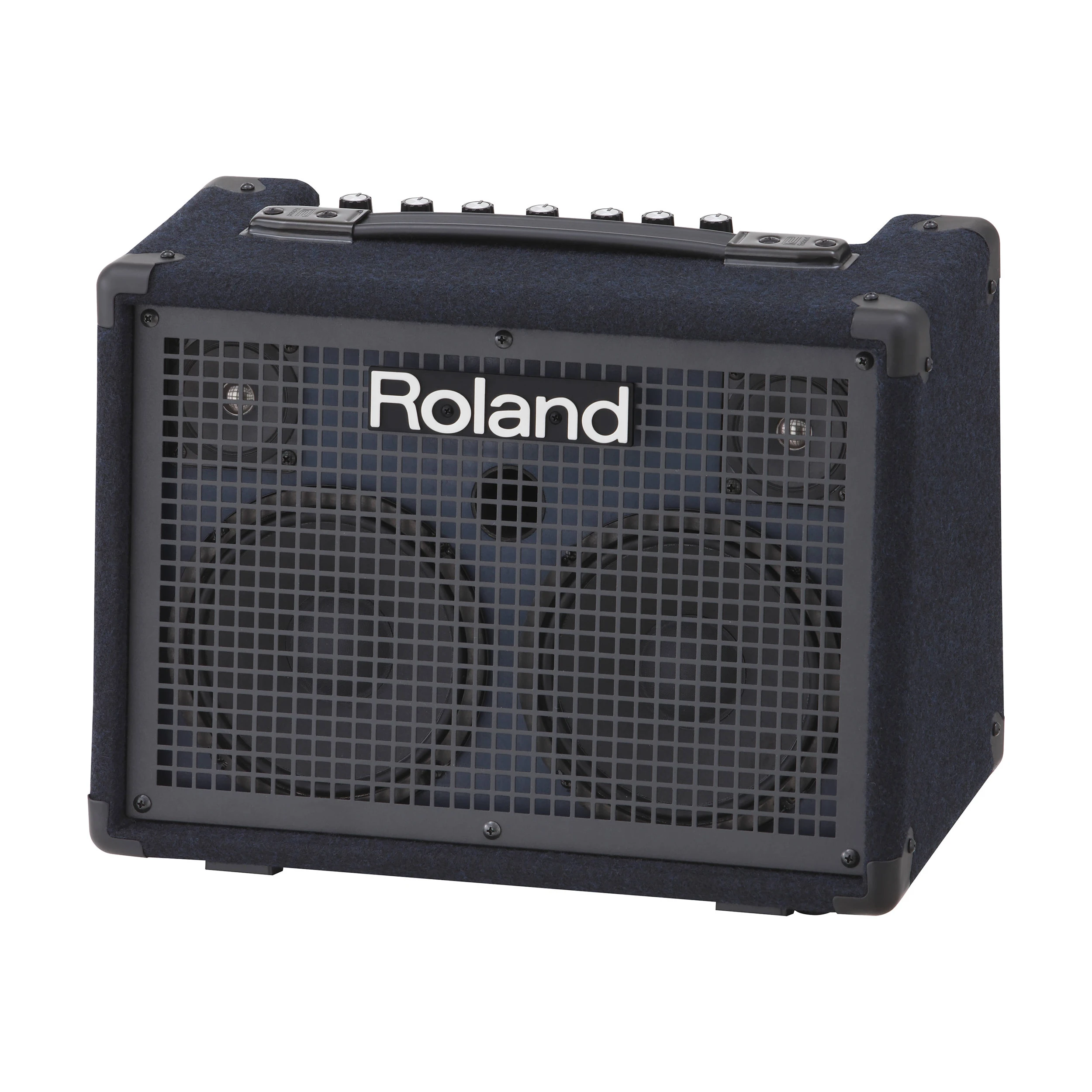 Roland KC-220 Battery-Powered Keyboard Amplifier