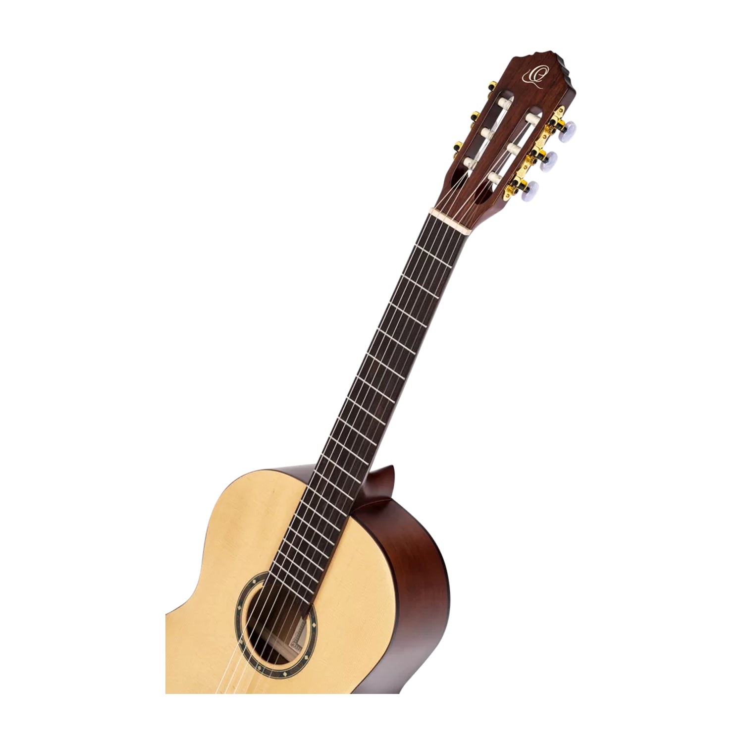 Student Series Pro Full Size Guitar Solid Spruce/ Catalpa Natural - R55DLX