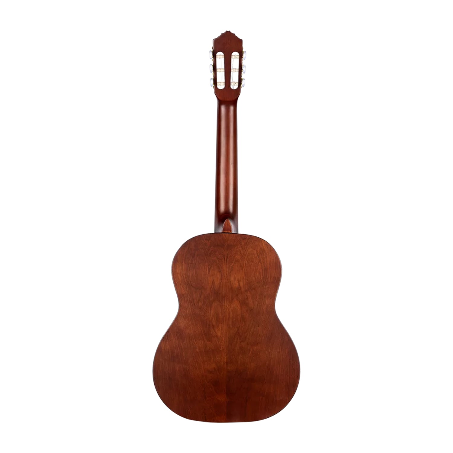 Student Series Pro Full Size Guitar Solid Spruce/ Catalpa Natural - R55DLX