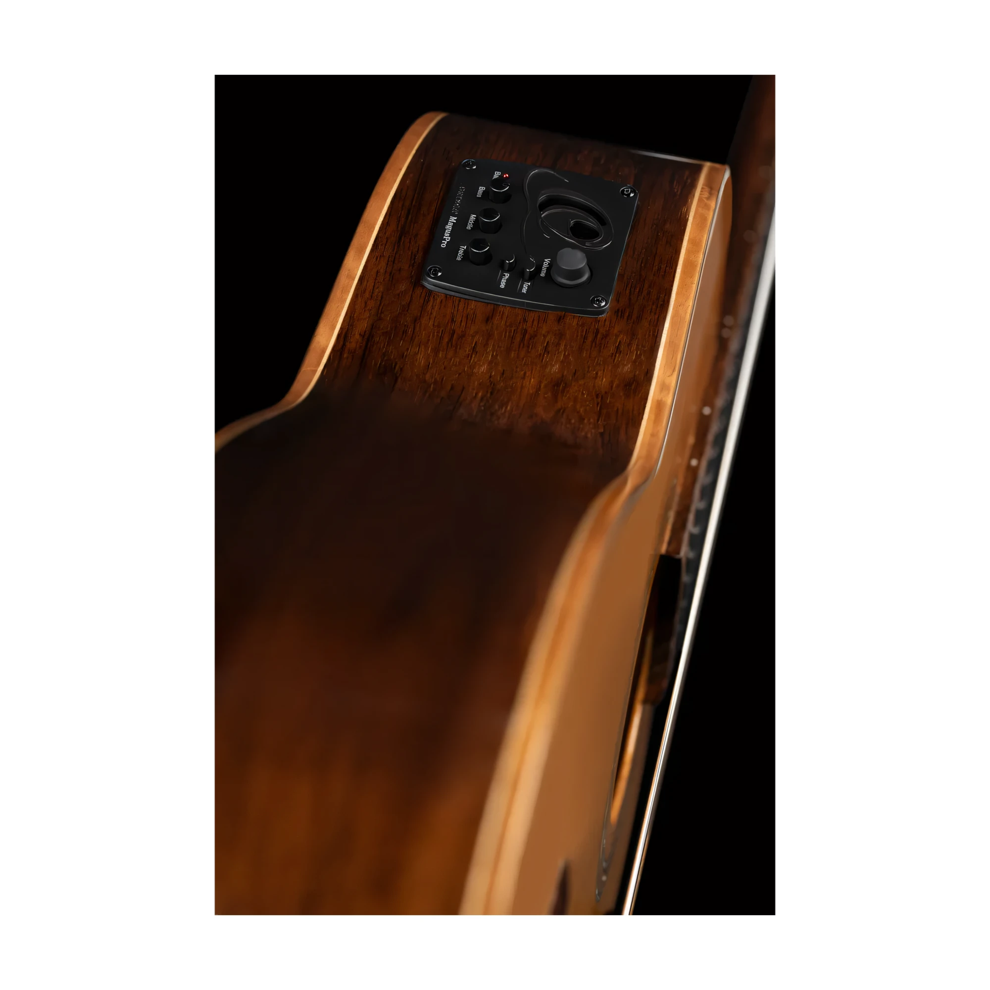 Ortega Performer Series Full Size Nylon String Guitar Solid Cedar Top Walnut Back Slim Neck Includes Deluxe Gig Bag