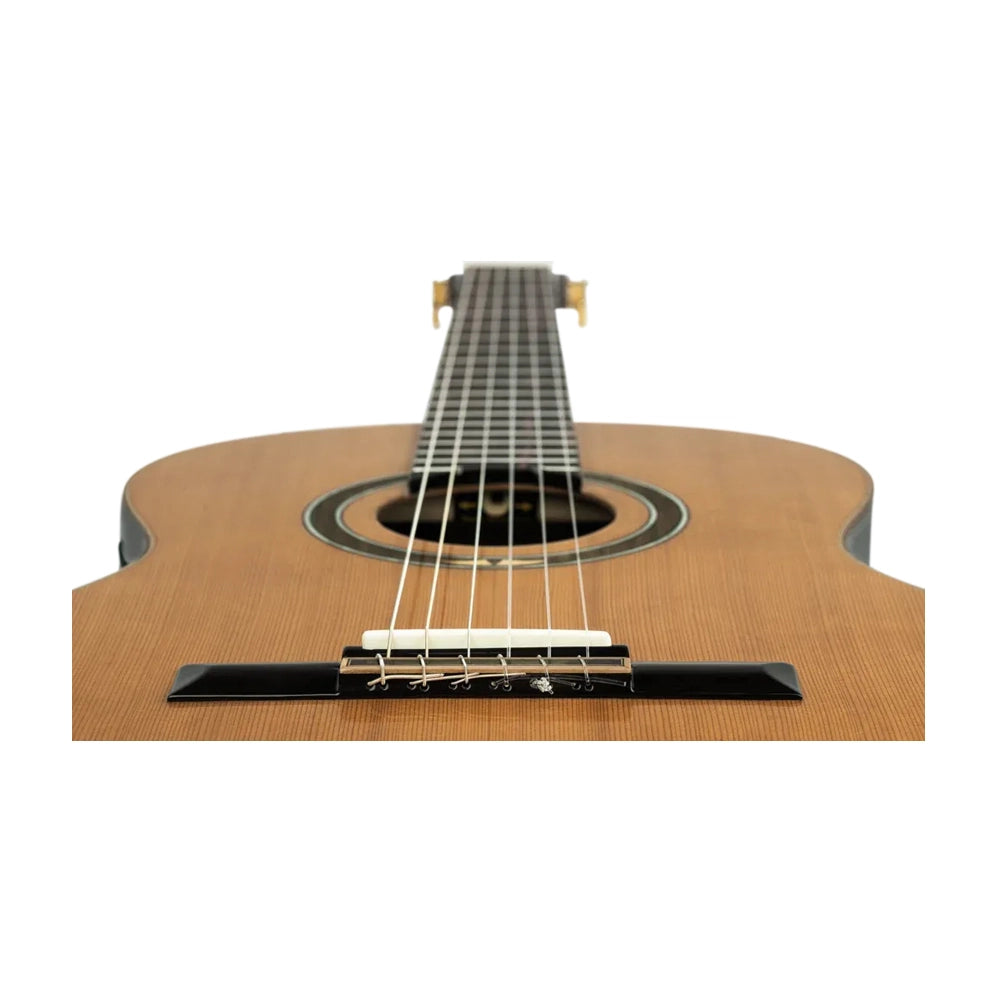 Ortega Performer Series Classic Electric Guitar & Included Pro Gig Bag - RE159RWSN