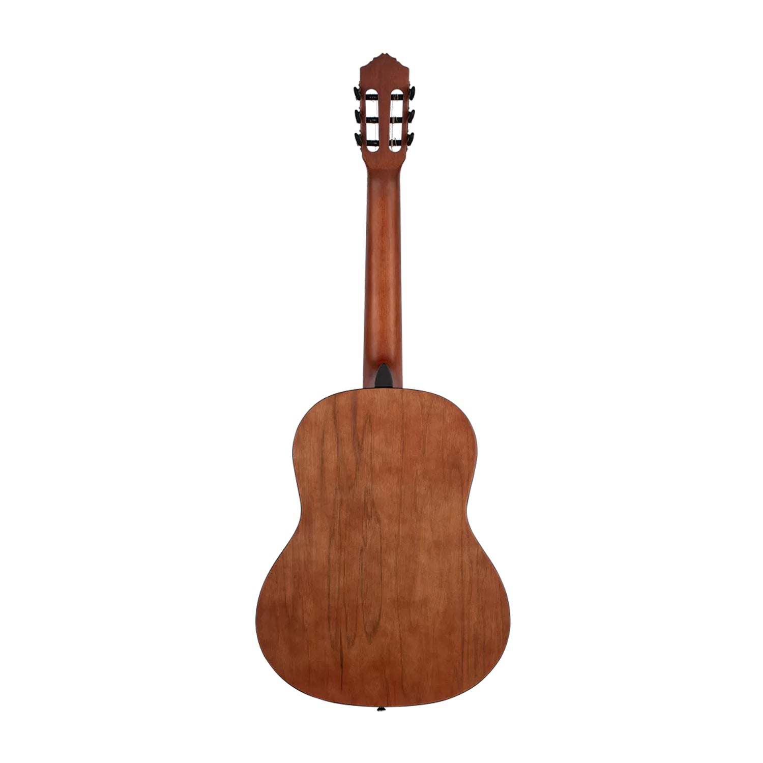 Student Series Full Size Guitar Cedar/ Catalpa Natural - RSTC5M
