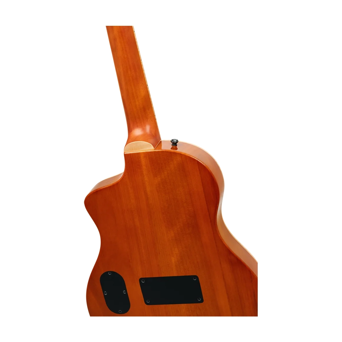 Ortega RTPG-LS1 TourPlayer Series Solid Spruce Acoustic-Electric Guitar