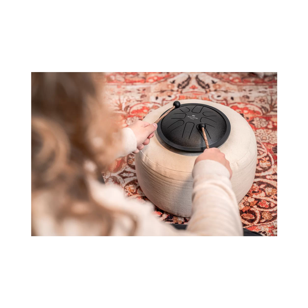 Meinl Sonic Energy Sstd1bk Small Steel Tongue Drum In F Minor - Black
