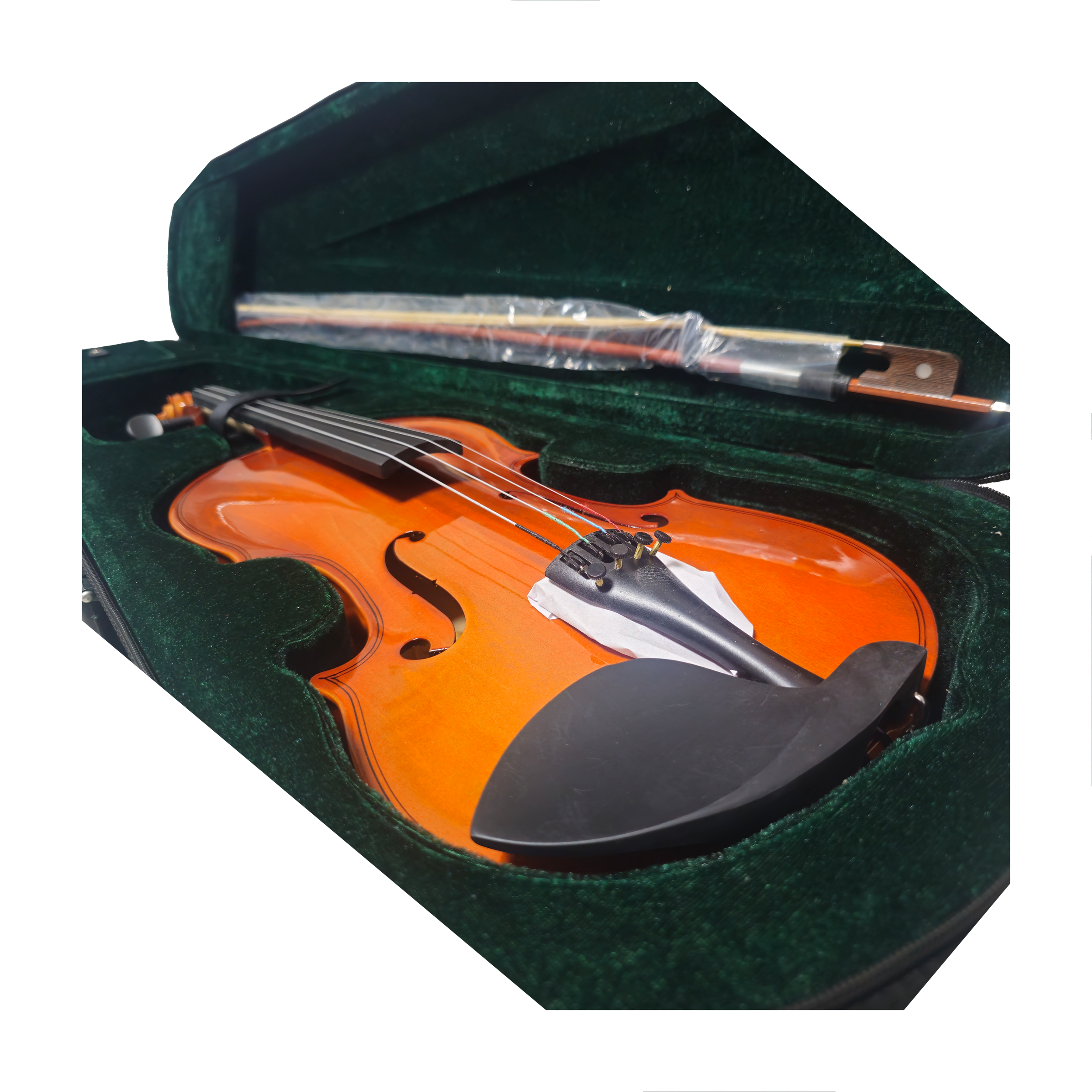 Prelude Duet Viola SVA-10 close up view of viola in case