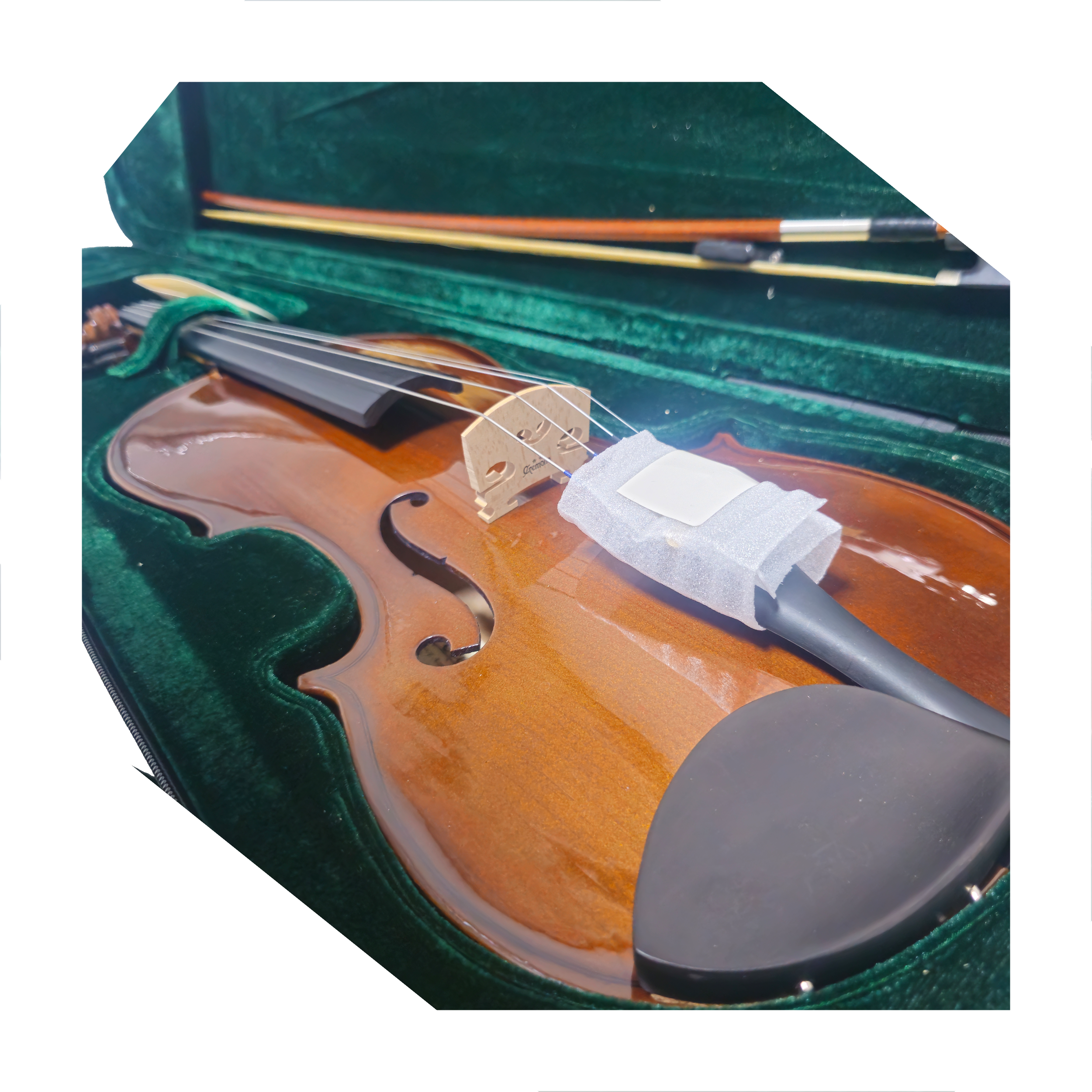 Cremona Viola SVA-130 close up view of viola in case